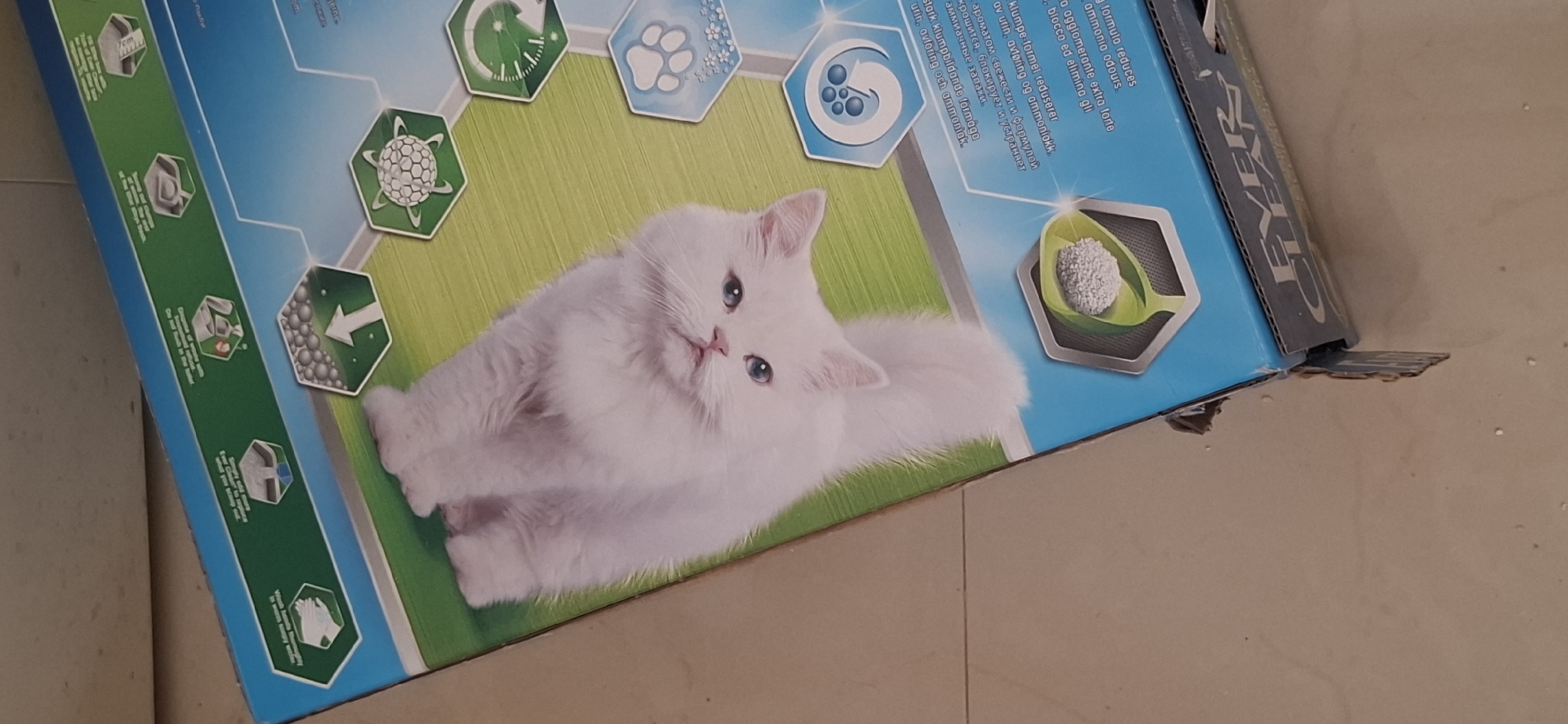 The image shows a white Persian cat lying on a green surface, which is part of a blue and green cardboard box for cat litter. The cat is facing the camera with its paws tucked underneath its body and its tail extended. The box has various graphics and text, including hexagonal icons depicting a scooping motion, a paw print with flowers, and a timer. The text appears to be in multiple languages, likely explaining the product's features. The box is slightly damaged on one corner, with some cardboard flaps bent. The scene is lit from above, casting subtle shadows. The image is taken from a slightly elevated angle, looking down at the cat and the box. There is no indication of the city of Yerocham, Israel, in the image.