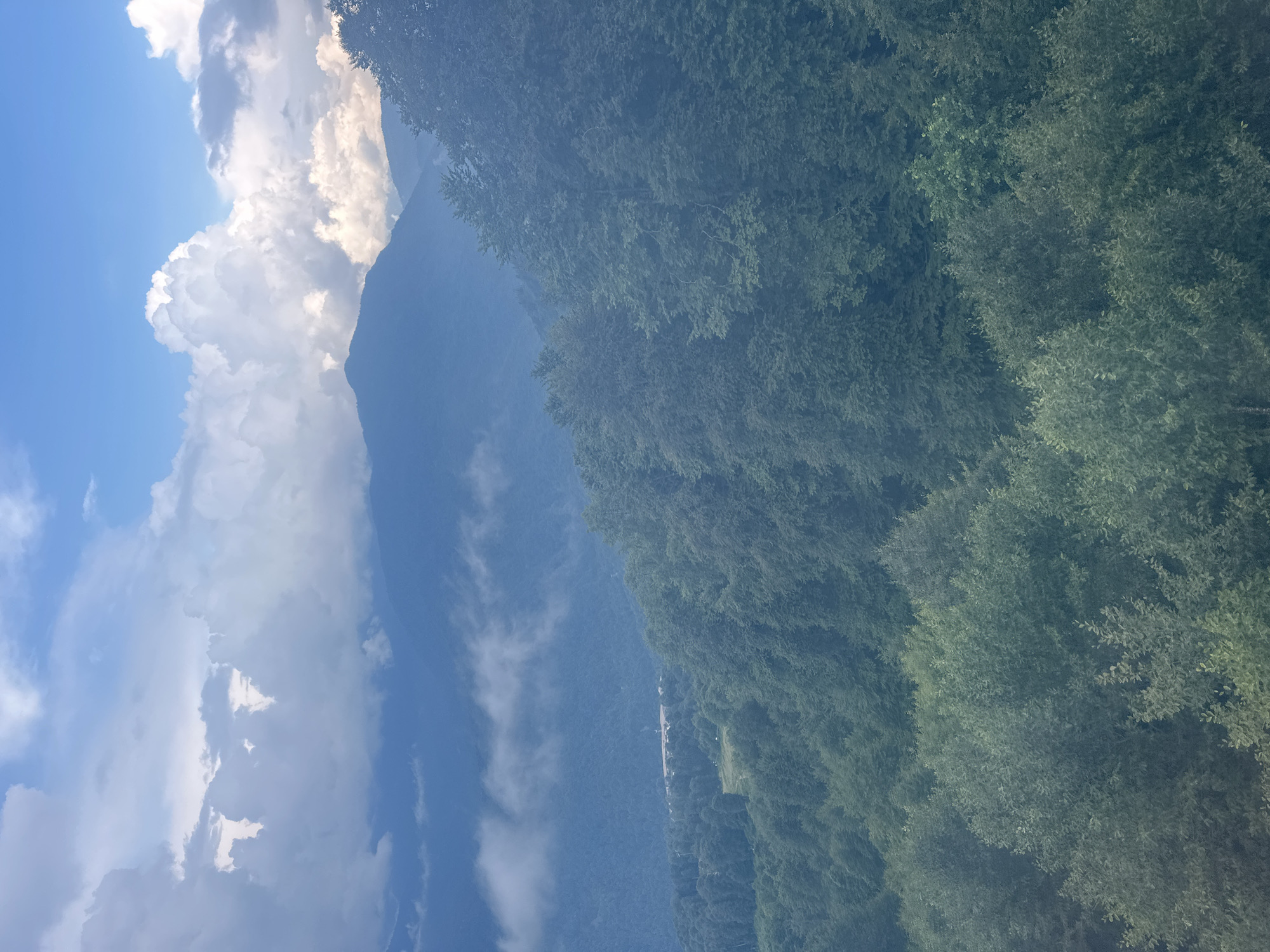 This image depicts a panoramic view of a mountainous landscape with lush green forests covering the slopes. In the foreground, dense trees fill the frame, their leaves a vibrant green. As the eye moves further into the distance, the terrain becomes steeper, with more layers of forest visible. The mid-ground reveals a valley with a small cluster of buildings, possibly a village or resort, nestled amongst the trees. Further back, majestic mountains rise, their peaks shrouded in mist and clouds. The sky above is a dramatic display of blue, dotted with fluffy white and gray clouds, some of which are illuminated by sunlight. The scene conveys a sense of natural beauty and tranquility.