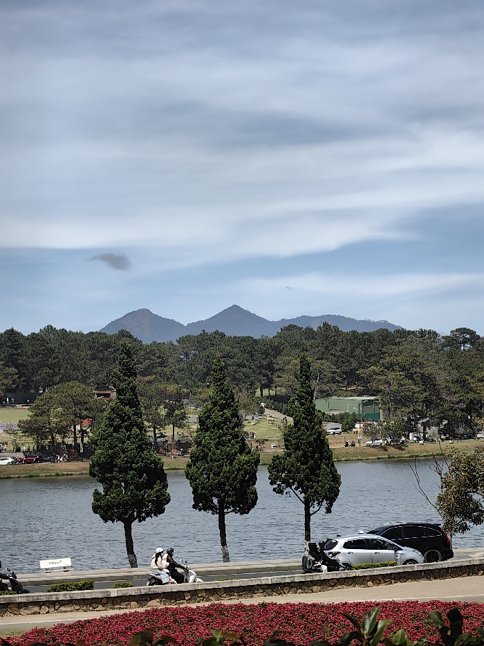A tranquil landscape features a serene lake bordered by lush greenery. Three prominent, slender trees line the waterfront, reflected in the water's calm surface. Red flowers decorate the foreground, contrasting with the cool tones of the lake and sky. A road runs behind the trees, with parked cars and scooters visible. Mountains and a light-clouded sky form the backdrop, completing the peaceful scenery.