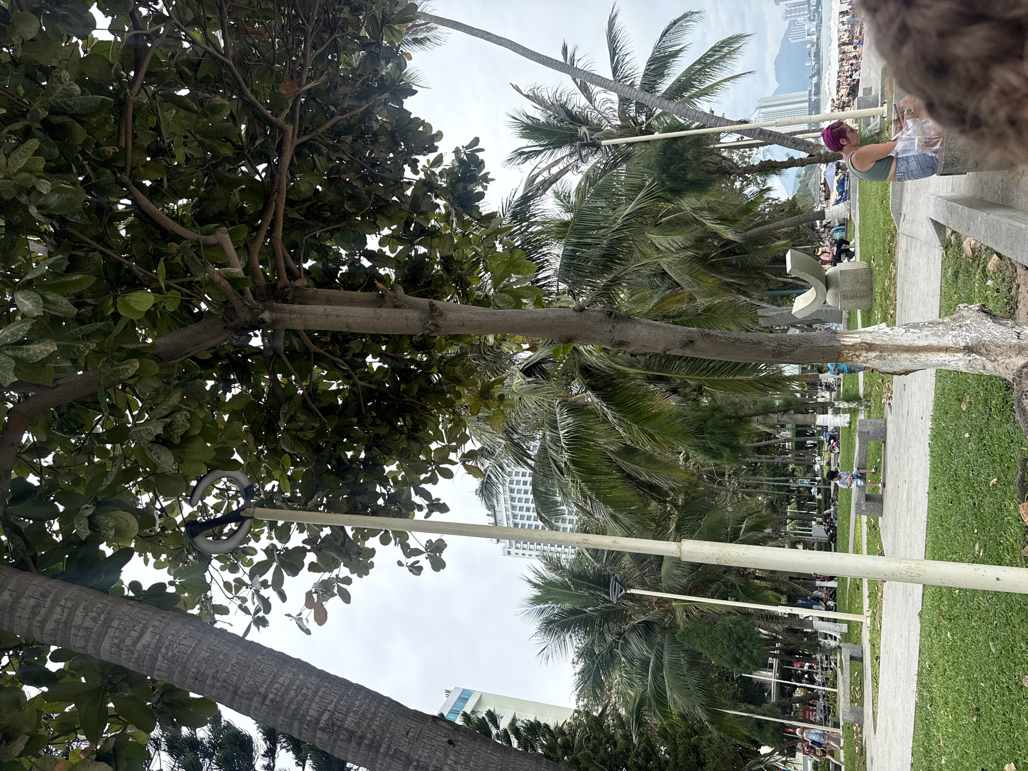 This image depicts a scene in Nha Trang, Vietnam, featuring a park area adjacent to a beach. In the foreground, a large tree with green leaves and rough bark dominates the left side of the frame. A lamppost, painted white, stands prominently in the mid-ground, with a ring-shaped light fixture at its top. Behind the lamppost, a path leads through a grassy area with scattered fallen leaves.
Several palm trees are visible throughout the scene, some with their fronds reaching towards the sky. In the background, a row of white buildings, likely hotels or apartments, rises against a cloudy sky. Further in the distance, mountains are faintly visible. The beach area is populated with numerous white umbrellas and people enjoying the day.
In the park area, there are stone benches. A young boy in a blue shirt and shorts is sitting on one of these benches, facing away from the camera. To the right, a woman with short pink hair, wearing a green tank top and denim shorts, is also seated on a bench, looking down at her phone. Her right arm is resting on a clear plastic bag.
Other individuals are seen walking in the background, and parked motorcycles are visible near the edge of the park. The overall environment suggests a public space, likely a beachfront promenade or park, in a coastal city. The sky is overcast, indicating a potentially humid or cloudy day.