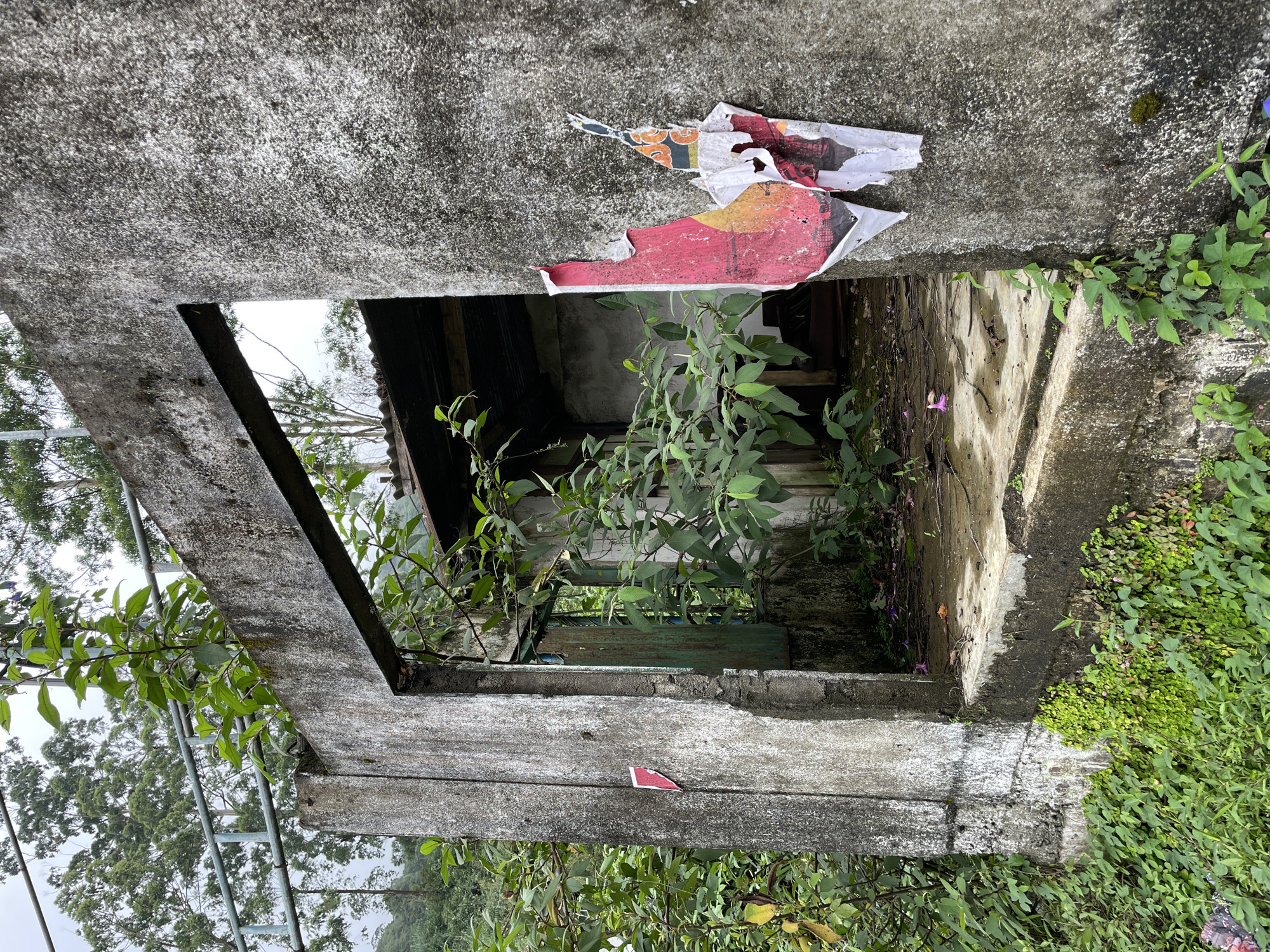 A dilapidated concrete structure, possibly a window frame or doorway, stands overgrown with vegetation in Kudaoya, Sri Lanka. Torn posters cling to the upper lintel. Within the structure's opening, foliage obscures parts of a derelict building with a corrugated metal roof. The exterior of the frame is surrounded by various plants and moss. The frame itself is visibly weathered and aged. A ladder is outside the frame.