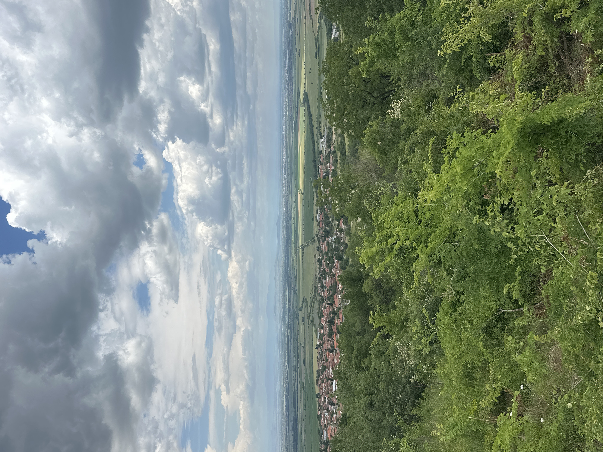 This is a landscape photograph taken from an elevated position, likely a hilltop or mountain overlooking a town and surrounding countryside. The image has been rotated 90 degrees clockwise. On the left side of the frame is the sky filled with numerous clouds, appearing dark gray to white, suggesting a partly cloudy day. The middle ground is filled with a flat, green valley interspersed with buildings, appearing as a town. The valley stretches to the distant horizon. The right side of the frame shows dense, green foliage. The photograph likely captures a scene in Tsrancha, Bulgaria.