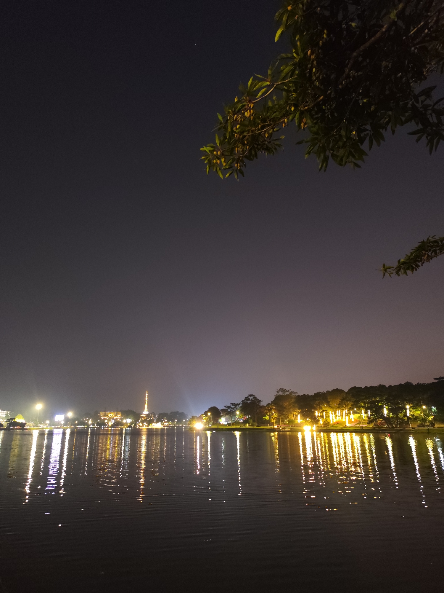 A nighttime scene shows a lake reflecting the lights of Da Lat, Vietnam. The city lights and a spire in the distance are mirrored in the water. Trees are visible along the shoreline, and branches with leaves frame the upper right corner of the image. The sky is dark, and the overall lighting suggests it is night.