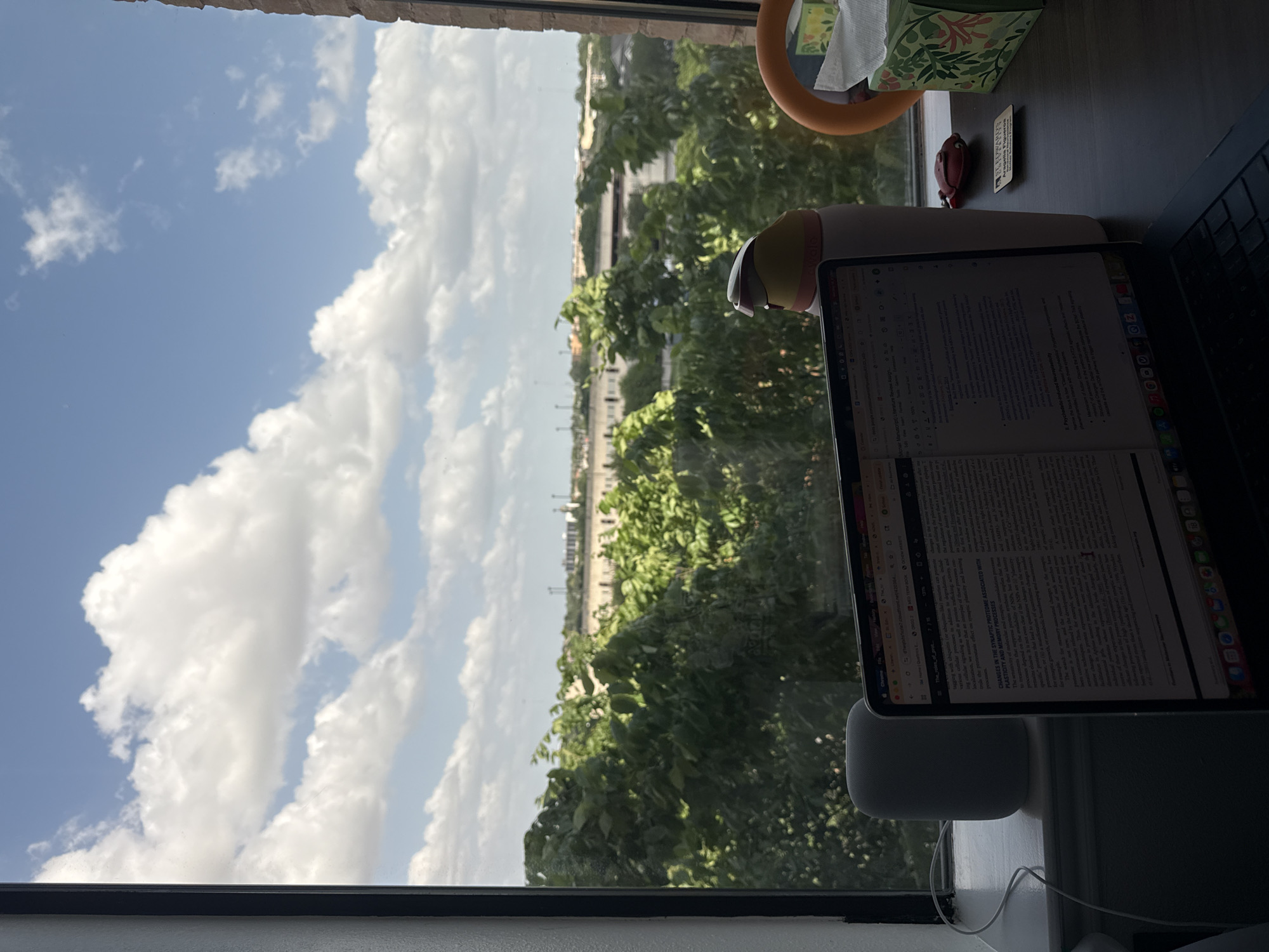 A view from a window features a blue sky with white clouds over a green, densely treed area. In the foreground, a workspace with a laptop displays open documents. A white smart speaker sits to the left of the laptop. A tissue box and a decorative fish figurine are visible to the upper right, positioned near the edge of the desk. A building is visible between the blue sky and treed area. Based on the type of architecture, and trees, this is most likely Austin, United States of America.