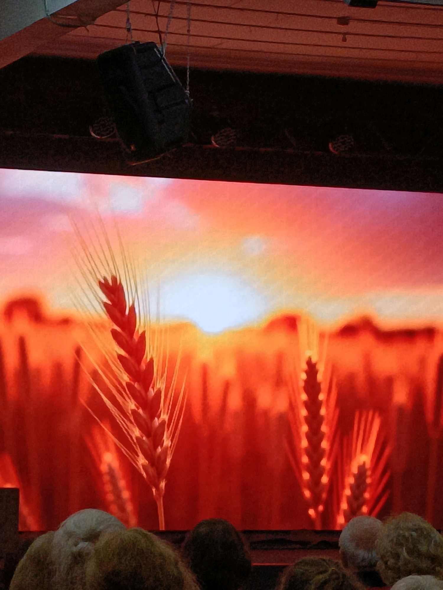 A performance is taking place indoors. A large screen displays an image of a sun setting over a field of wheat. The sky is a gradient of orange and pink, with a bright white sun in the center. The wheat stalks are rendered in shades of red and orange, with some appearing as silhouettes against the brighter background. In the foreground, the heads of several audience members are visible, appearing as blurred shapes in shades of brown, grey, and white. Above the screen, a black speaker is suspended from the ceiling, and its rigging is visible. The overall impression is of a cultural event taking place in Asbest, Russia.