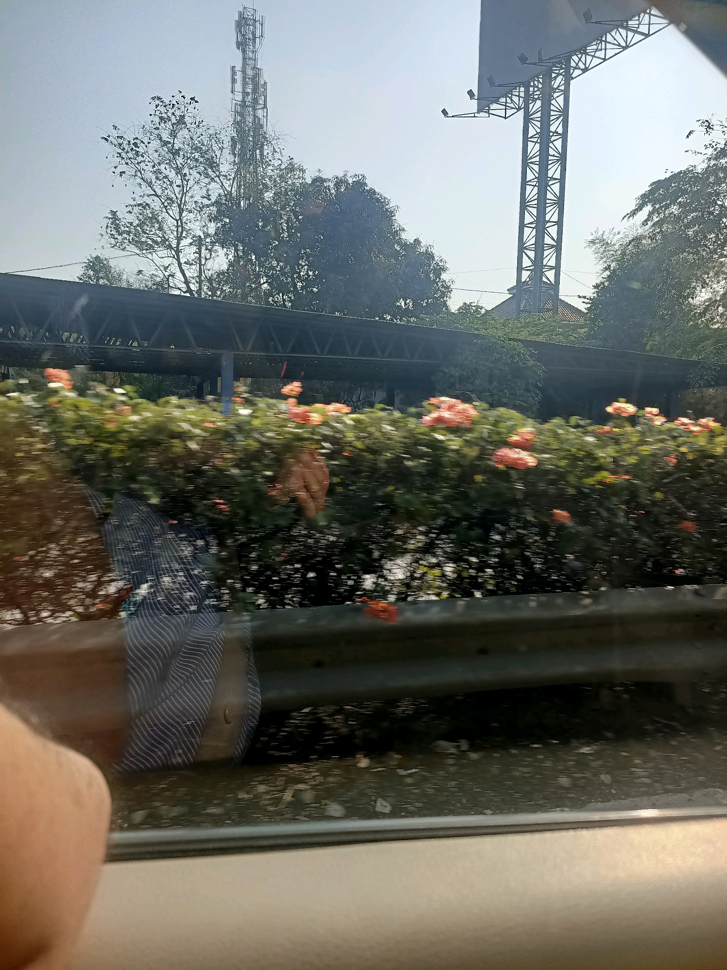 The image captures a view from a vehicle in Cibatu, Indonesia. In the foreground, a blurred hand and arm are visible, suggesting the photo was taken by a passenger. A metal guardrail runs across the mid-ground. Behind the guardrail, a row of blooming orange flowers is interspersed with green foliage, indicating a garden or planted area. Further in the background, a covered walkway with a distinctive triangular roof structure extends horizontally. Above the walkway, a large communication tower with multiple antennas stands tall, and to the right, a large billboard structure with a metal support system is visible. The sky is hazy and bright, typical of a sunny day.