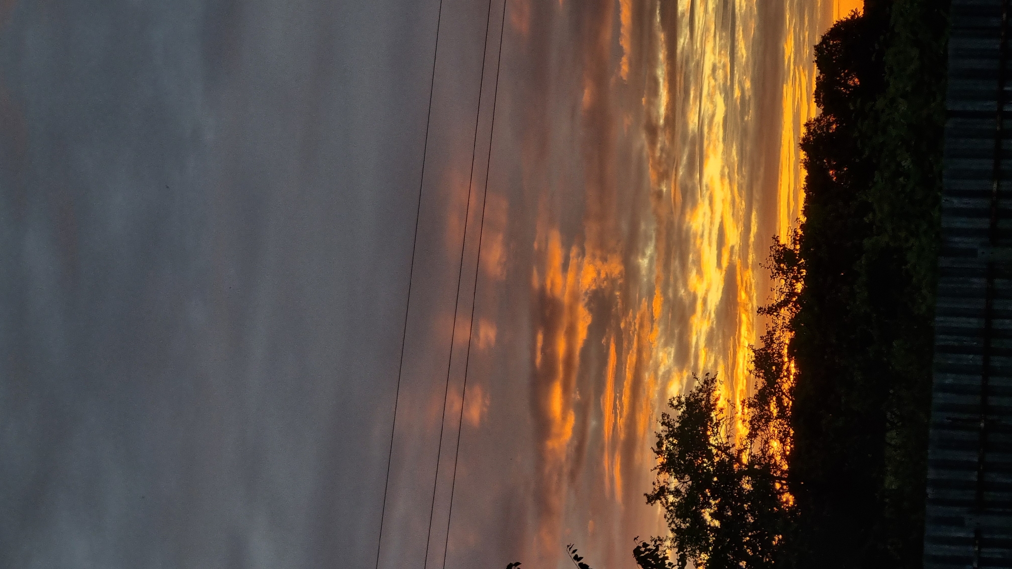 The image depicts a sky filled with dramatic clouds tinged with orange and yellow hues, indicating a sunset or sunrise. A line of dark silhouetted trees and foliage runs across the lower portion of the frame, with a dark, corrugated metal fence at the very bottom. Several thin, black electrical wires are stretched horizontally across the sky. The background consists of darker, grayish clouds. The scene appears to be located in the city of Vysokoe, Russia. There are no people or animals visible in the image, and no discernible actions or interactions are taking place.