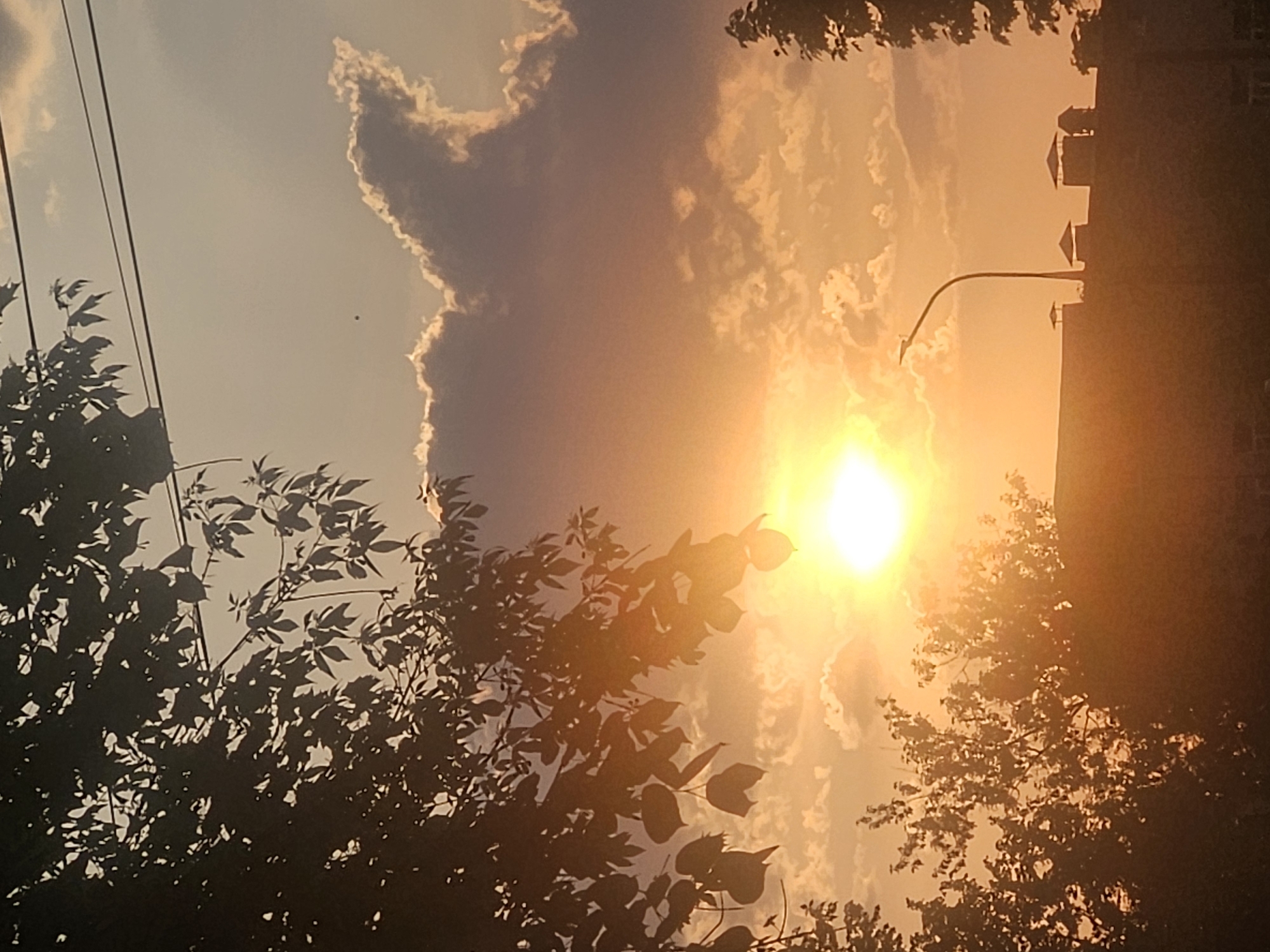 The image is a low-angle shot of a sunset in the city of Rodniki, Russia. The sun is a bright white orb near the center of the frame, obscured by tree branches in the foreground. There are clouds in the sky, some edged with light. Silhouetted trees are in the lower part of the frame. The background includes buildings and a street lamp. Power lines are also visible.
