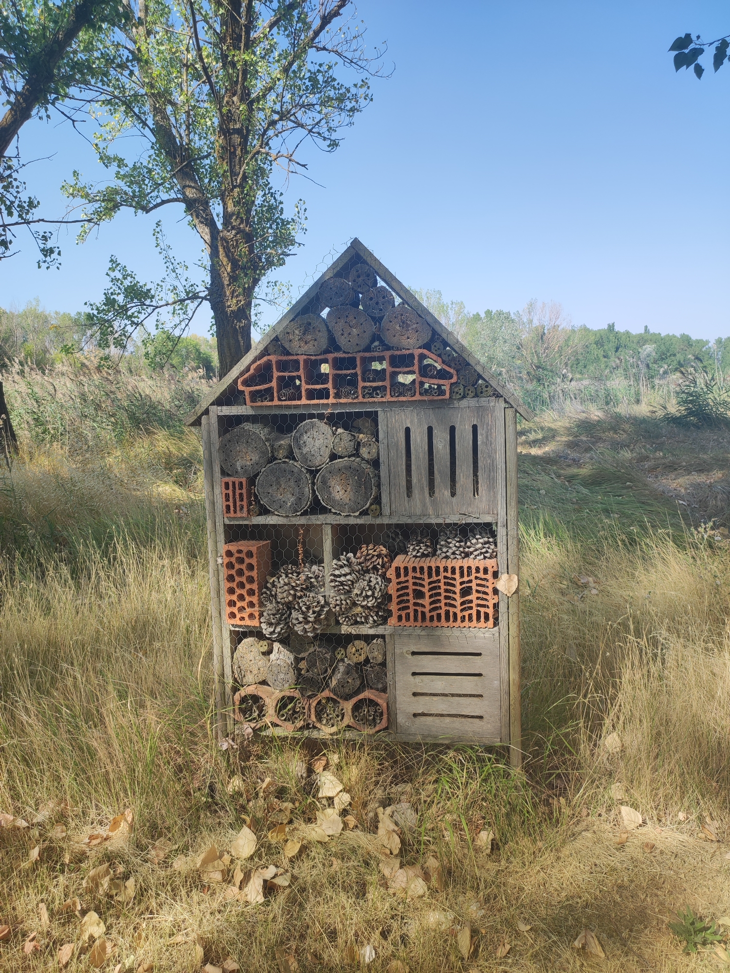 This image depicts an insect hotel, a man-made structure designed to provide shelter for insects, placed in a natural outdoor setting. The hotel is constructed from various natural materials such as logs with drilled holes, pinecones, and bricks with openings, organized into different compartments. It is surrounded by dry, tall grass and foliage, with trees visible in the background and a clear blue sky above. The scene appears to be a still, outdoor environment, possibly a park or a rural area. There are no people visible in the image. The location is identified as Abarca de Campos, Spain.