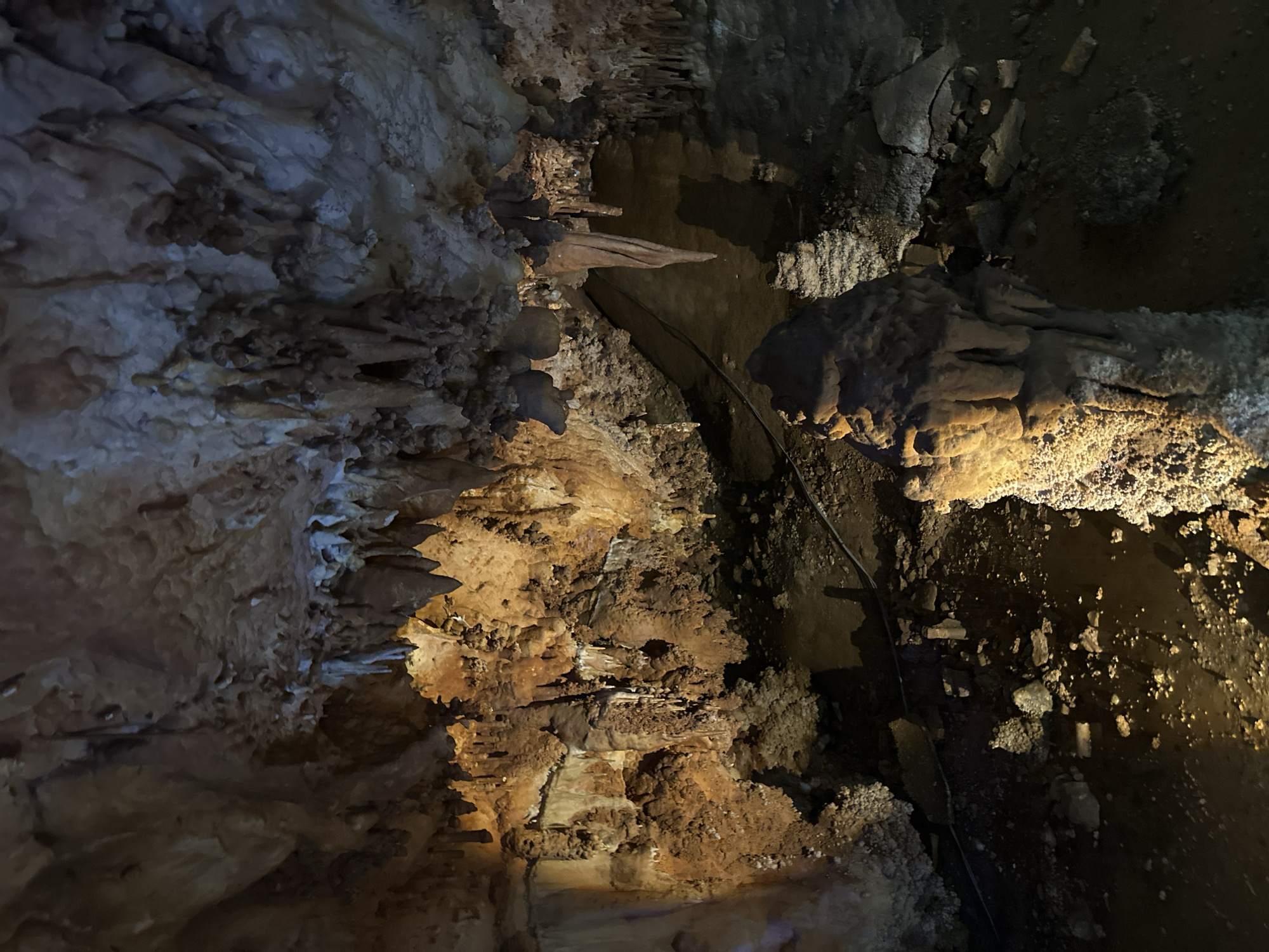 The image depicts the interior of a cave, likely located in Belo Pole, Bulgaria. The walls of the cave are predominantly brown and tan in color, displaying various geological formations such as stalactites and stalagmites. A black electrical cable runs across the right side of the image. There are no people or animals visible in the scene. The environment is dark and enclosed, with limited lighting illuminating the cave formations. The scene is a natural setting with minimal signs of human intervention, except for the electrical cable.
