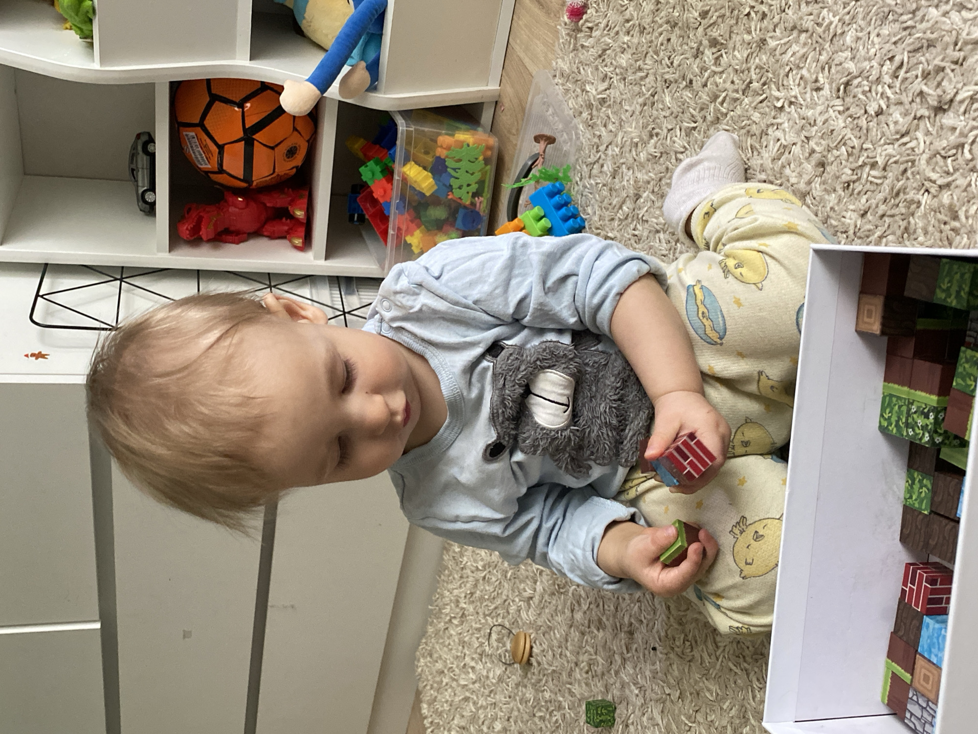 A young child with blonde hair is sitting on a shaggy beige rug, possibly indoors, examining toy blocks. The child is wearing patterned pajamas and a light blue long-sleeved shirt with a gray animal-shaped appliqué. The child is holding one red and one green toy block. Near the child, there is an open white cardboard box filled with more of the same toy blocks, and a small wooden toy is also on the rug. To the child's left is a white shelf unit containing various toys including a soccer ball, a red dinosaur toy, a silver toy car, and a container of colorful building blocks. The city of Chaikovsky, Russia, is not visually discernible in this image.