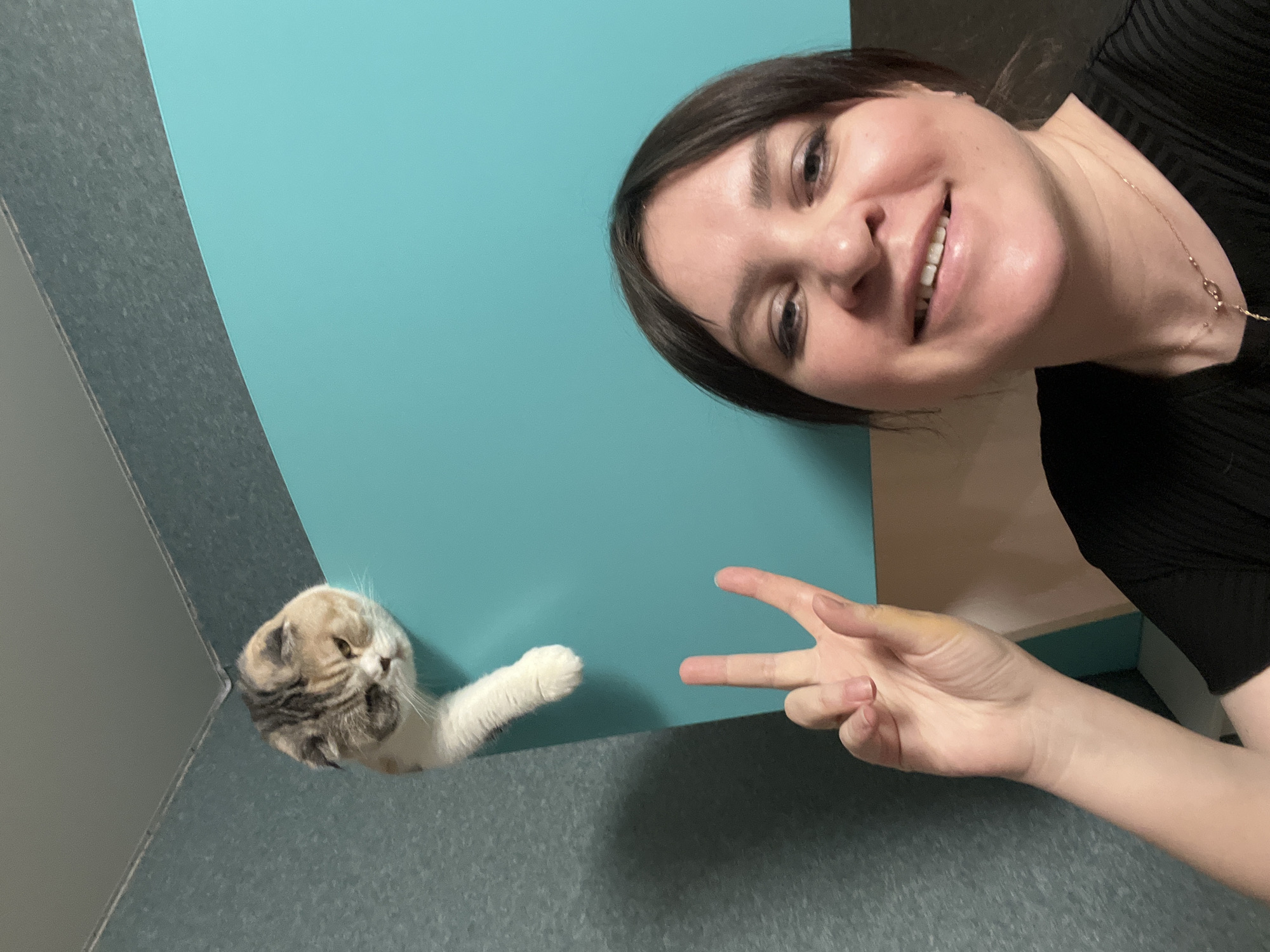 A woman is seen taking a selfie with a cat. The woman, with fair skin and dark hair, is smiling and making a peace sign with her right hand. She is wearing a black top and a necklace. In the lower left corner, a cat with folded ears is extending its paw. The background consists of a blue wall and a gray floor. The location is identified as Noviy, Russia, but there are no other specific contextual details.