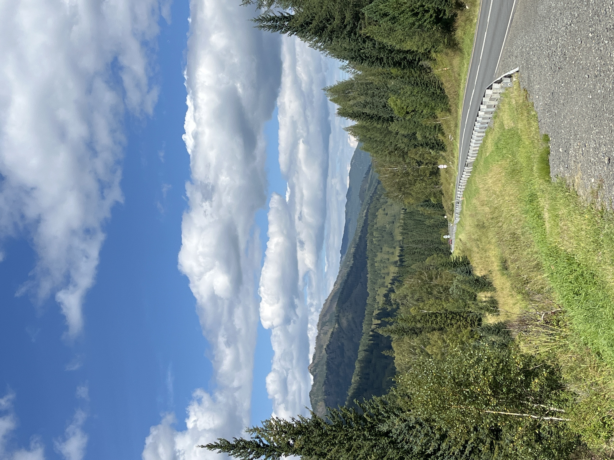 The image depicts a rural roadside scene under a partly cloudy sky. A paved road curves to the right, bordered by a metal guardrail and a gravel shoulder. The roadside is flanked by tall green grass and vegetation. Beyond the road, a dense forest of evergreen and deciduous trees covers rolling hills and mountains. The landscape appears natural and undeveloped, consistent with a remote, mountainous region. There are no people or animals visible in the image. The scene is consistent with a highway or main road passing through a forested mountainous area in Kumalyr, Russia, a region known for its natural beauty and wilderness.