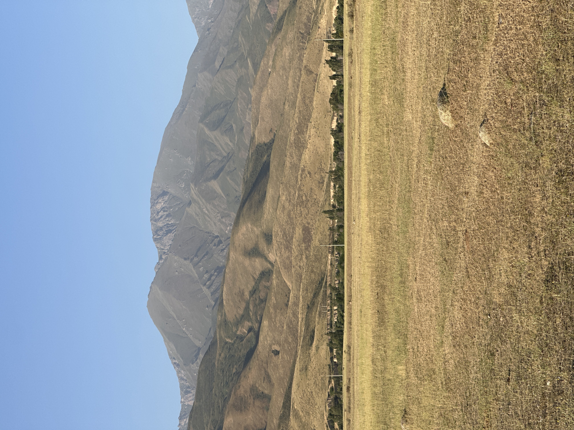 The image depicts a vast, arid landscape under a clear blue sky. In the foreground, a field of dry, golden grass stretches across the frame, dotted with a few scattered rocks. A line of trees and some structures, possibly buildings, are visible in the middle ground, partially obscured by a gently sloping hillside. The background is dominated by a series of imposing, barren mountains with visible geological formations and sharp ridges. The overall impression is one of a remote, natural setting, likely in the rural vicinity of Сарымолдаев ауылдық округі, Kazakhstan.
