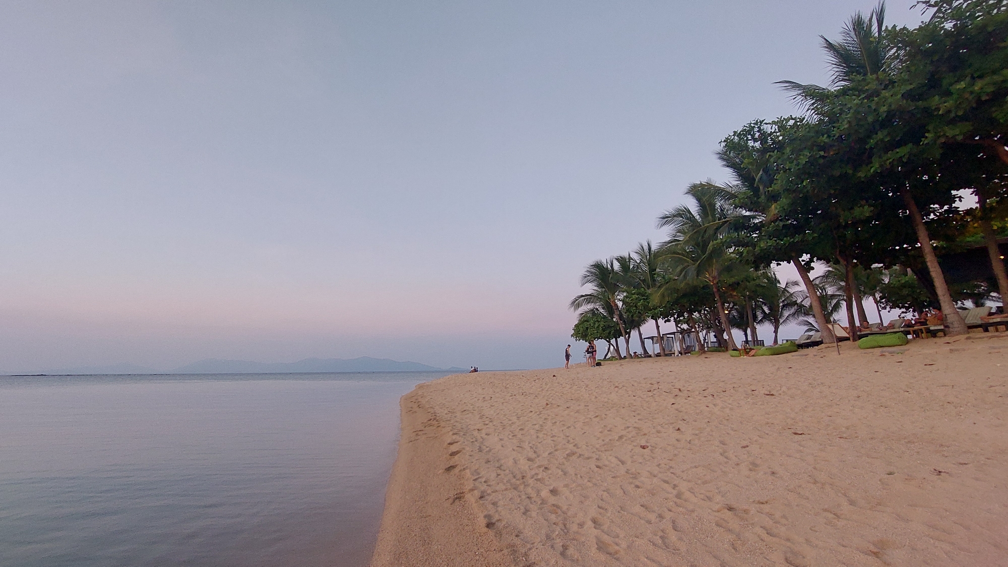 This image depicts a beach in Baan Bo Phut, Thailand at twilight. The foreground features a wide expanse of sandy beach, marked with footprints and leading towards a calm body of water on the left. A line of palm trees and other foliage grows along the beach, providing shade. People are visible walking on the beach, while others are lounging on beach chairs beneath the trees. The sky transitions from pale blue to pink at the horizon where land is visible in the distance.