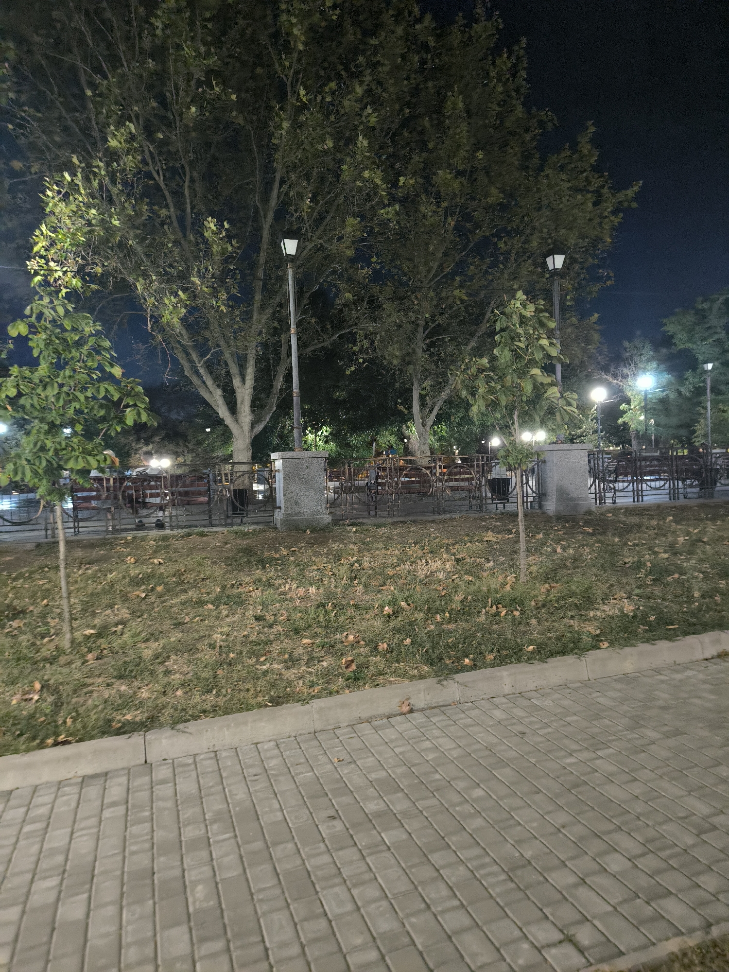 A nighttime, eye-level, full shot captures a park area with paved walkways and grassy areas featuring fallen leaves. A row of decorative benches with metal railings is visible behind a low stone wall. Several lampposts with modern, white light fixtures are spaced throughout the park, illuminating the scene. Mature trees with sparse foliage stand behind the benches, and a few younger, leafy trees are positioned in the foreground. The ground is covered in a mixture of dry grass and scattered brown leaves. A concrete curb separates the paved walkway from the grassy area. The overall impression is of a well-maintained urban park at night, likely in Mykolaiv, Ukraine, given the context.