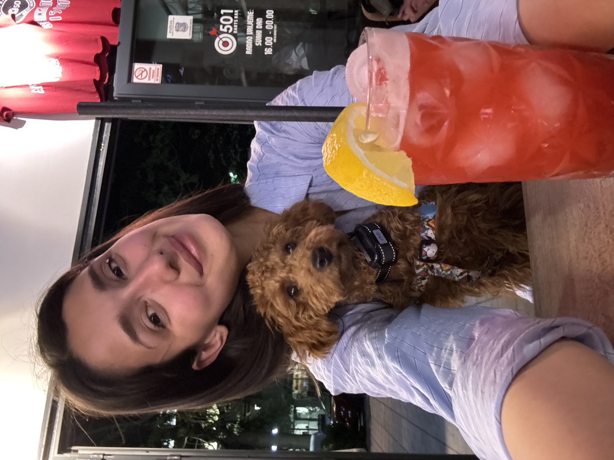 A selfie taken at the 501 Darts Bar in Bar, Montenegro. A young woman is holding a reddish-brown poodle puppy. Next to them is a glass of red liquid with ice, garnished with a lemon wedge. Behind them is the entrance to the bar, with a sign indicating opening hours from 16:00 to 00:00. Exterior night scene.
