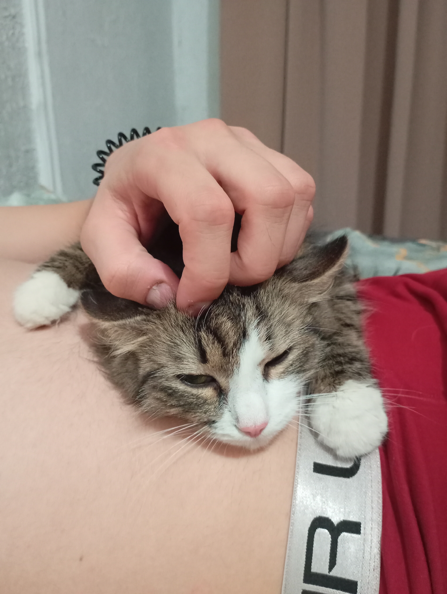 A person is lying down with a cat resting on their chest. The person's hand is petting the cat's head. The cat appears to be a tabby with white paws. The person is wearing a red shirt and has a white and gray elastic band visible at the lower edge of the chest. The location is not discernible from the image.