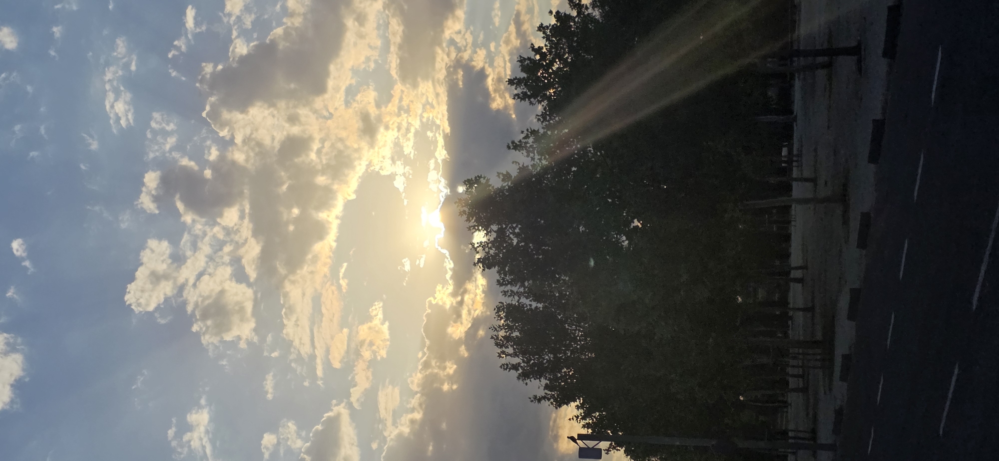 The image depicts a street scene in Zaragoza, Spain, during sunset. The sky is filled with dramatic clouds, illuminated by the setting sun which creates prominent sunbeams piercing through the clouds and shining down on the trees in the foreground. The trees are densely leafed, casting shadows on the ground. A lamppost with a bird perched on top is visible to the left of the frame. A paved road with white lane markings runs across the bottom of the image, indicating a street or pathway. The overall atmosphere is serene, with the natural beauty of the sunset dominating the scene.