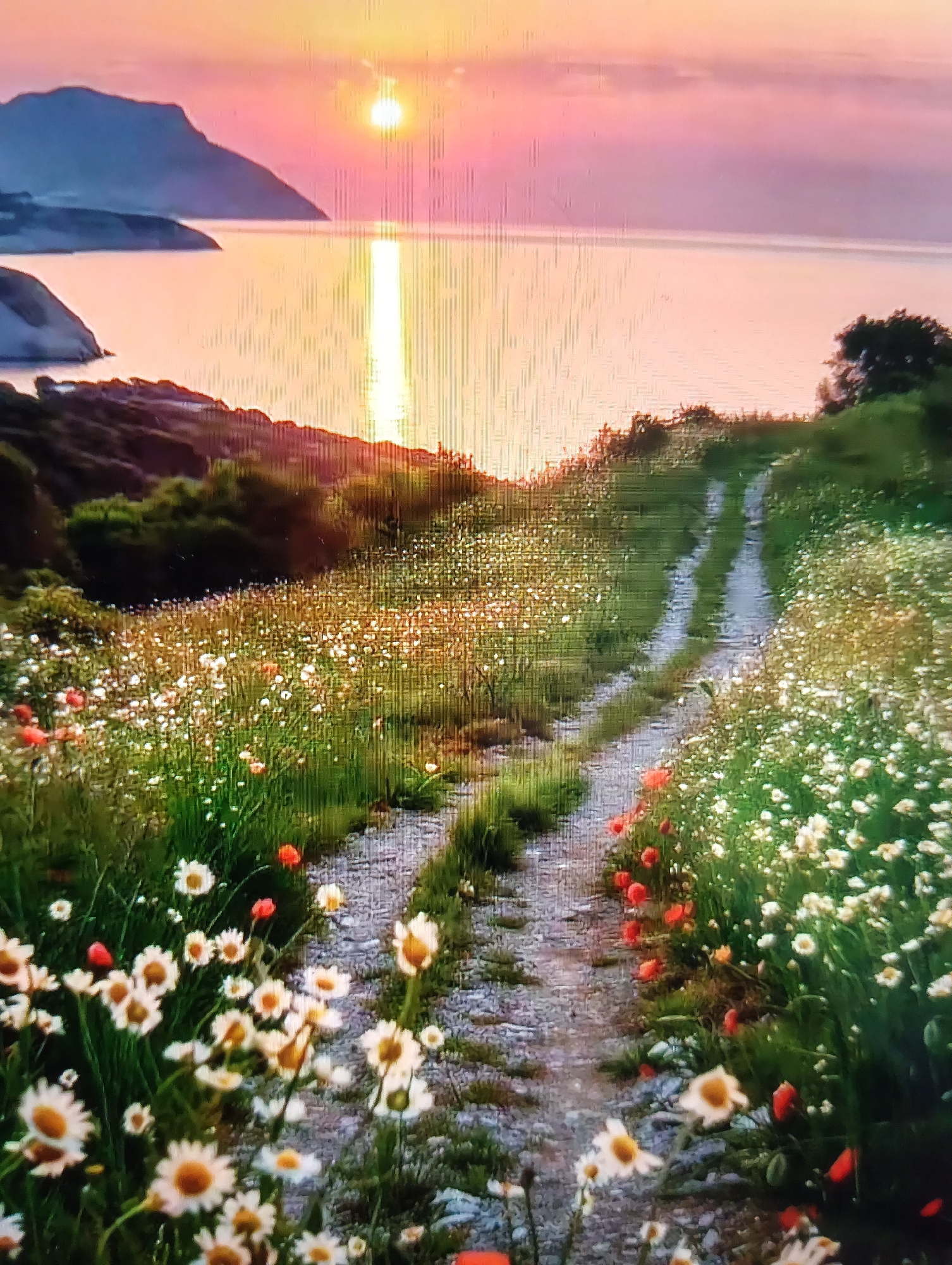 The image depicts a serene landscape at sunset. A dirt path, flanked by a profusion of white daisies and red poppies, winds its way through a grassy hillside. The path leads towards a body of water, likely a sea or ocean, which reflects the warm, golden hues of the setting sun. In the distance, silhouetted mountains rise against the colorful sky, their forms softened by the twilight. The overall atmosphere is peaceful and idyllic.