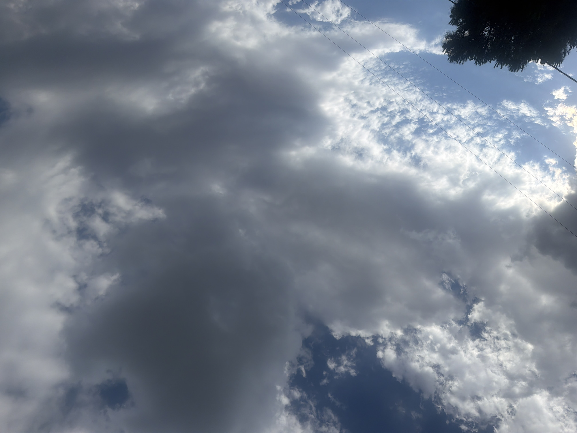 The image displays a dramatic sky filled with a mix of dark, heavy clouds and brighter, textured clouds. The clouds are the primary subject, occupying the entire frame. The lighting suggests it is daytime, possibly late afternoon or early evening, as the sun is partially obscured by clouds, creating a contrast between light and shadow.
In the upper right corner, a silhouette of dark foliage, likely from a tree, is visible against the sky. Several thin, dark lines, which appear to be power lines, stretch diagonally across the frame, suggesting the presence of human infrastructure. The sky itself is a deep blue in some areas, breaking through the cloud cover, while other parts are filled with an array of cloud formations, from dense, almost ominous gray masses to lighter, wispy formations.
The weather appears to be dynamic, with the potential for rain due to the dark clouds, but also with areas of clear blue sky. The overall mood is somewhat dramatic and perhaps even a bit foreboding, due to the strong contrasts and the looming clouds. There is no visible text in the image. The scene is an outdoor sky view, likely from a ground-level perspective looking upwards.