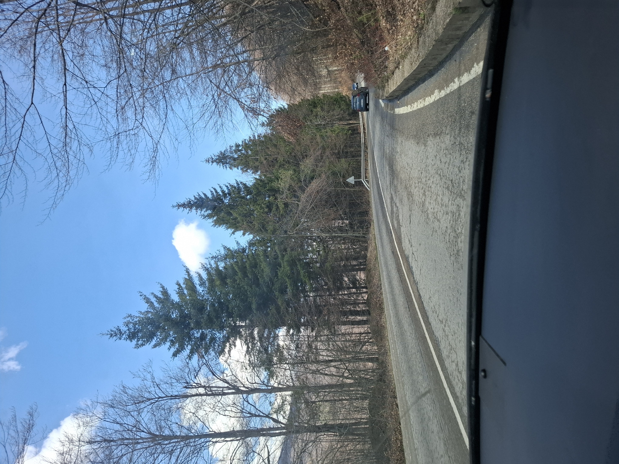 The image depicts a road winding through a forest, likely near Barziya, Bulgaria. The sky is blue with scattered clouds. Evergreen trees line the road on one side, while deciduous trees, bare of leaves, are on the other. A car is visible further up the road. A road sign is visible. The image is taken from inside a vehicle, with part of the dashboard visible on the right side.