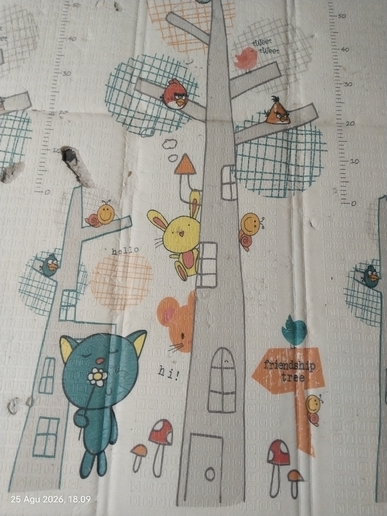The image depicts a children's play mat featuring cartoon illustrations of animals and trees. The mat has a ruler printed on the left side with markings up to 50. The artwork includes a blue cat holding a flower, a yellow rabbit, a snail with a smiley face, a mouse, and several birds, some of which resemble characters from the Angry Birds franchise. There are also depictions of trees, mushrooms, and a signpost that reads "friendship tree." The mat is laid out on a floor, and the background appears to be a light-colored surface, possibly tile or linoleum. The lighting is natural, suggesting it might be daytime. The scene is indoors. There is a timestamp in the bottom left corner that reads "25 Agu 2026, 18.09". The location of this image is not specified in the image itself, nor is there any information about Singkawang, Indonesia.