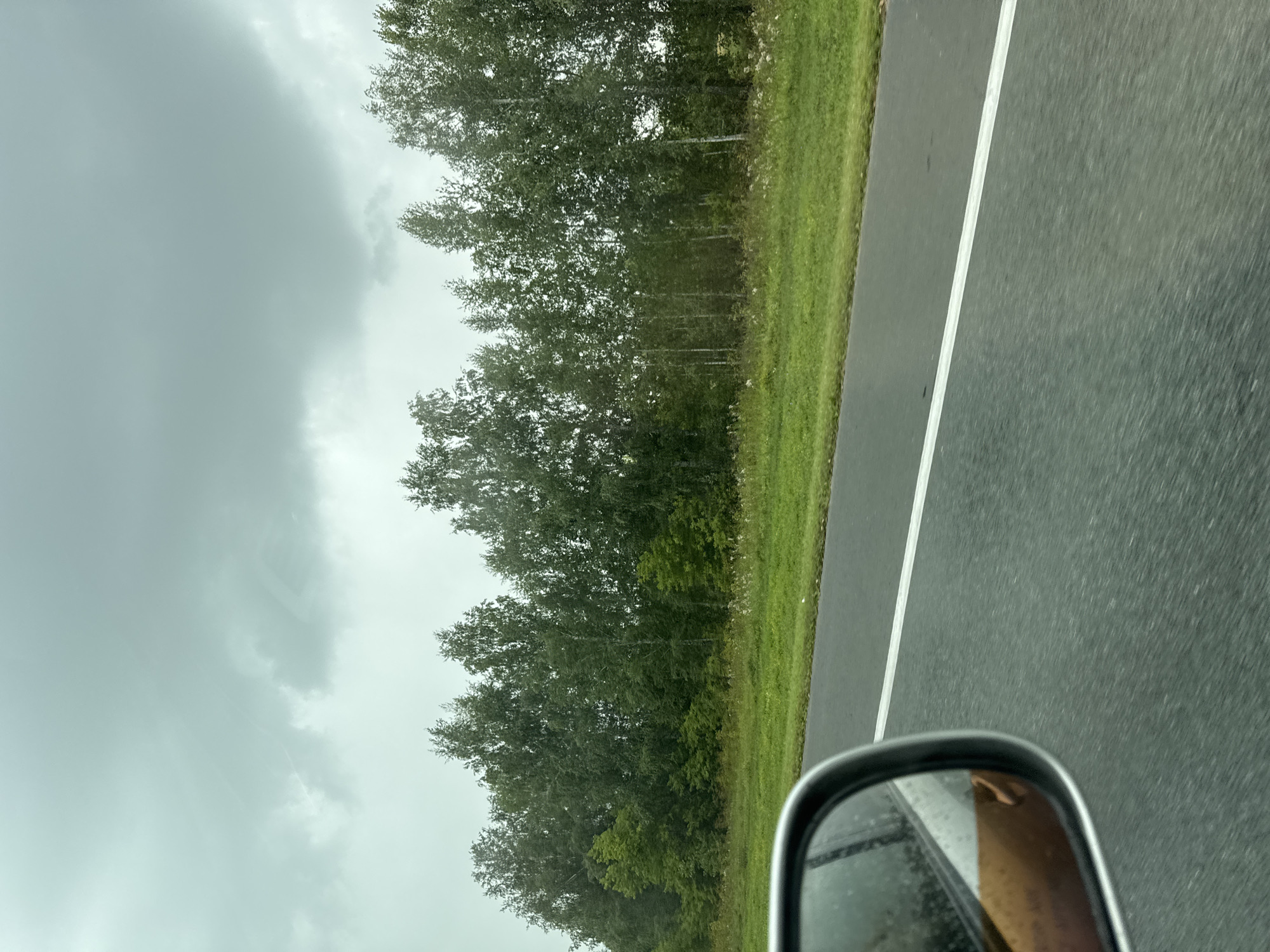 The image shows a view from inside a vehicle looking out at a tree line and a road. The sky is overcast and appears to be gray, suggesting cloudy or possibly rainy weather. The trees are green and dense, with some lighter-colored trunks visible, suggesting they might be birch trees. The road is asphalt and has a white line marking the lane. In the foreground, a portion of the vehicle's side mirror is visible on the left side of the frame, showing a reflection of the interior of the car and a person's arm. The scene appears to be in a rural or semi-rural area, given the presence of the tree line and the road. There are no people or specific landmarks visible that would indicate a precise location within a city.