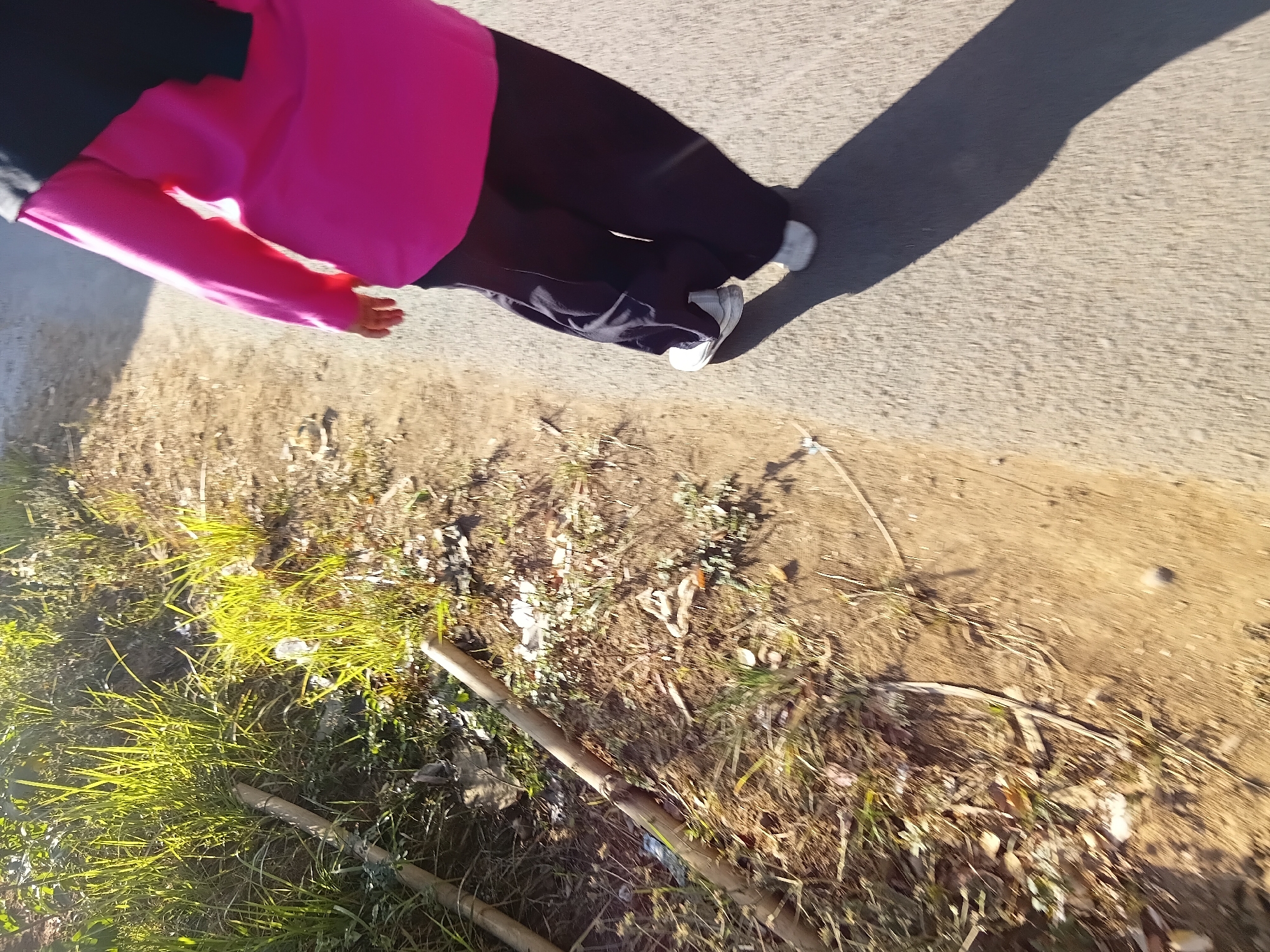 An individual is captured from a low-angle, dynamic perspective, appearing to walk or run on an asphalt surface. They are wearing dark-colored trousers and a bright pink long-sleeved shirt, partially covered by a black headscarf. The person is also wearing white athletic shoes, and their shadow is cast to their left, indicating the direction of sunlight. To the left of the paved path, a strip of dry, sun-baked ground is visible, with sparse dry grass, leaves, and some discarded plastic debris. A wooden pole lies horizontally across this area. The background shows more dry grass and vegetation, illuminated by bright sunlight. The scene suggests an outdoor environment, possibly on the outskirts of a residential area or along a rural road in Tanggul Wetan, Indonesia.