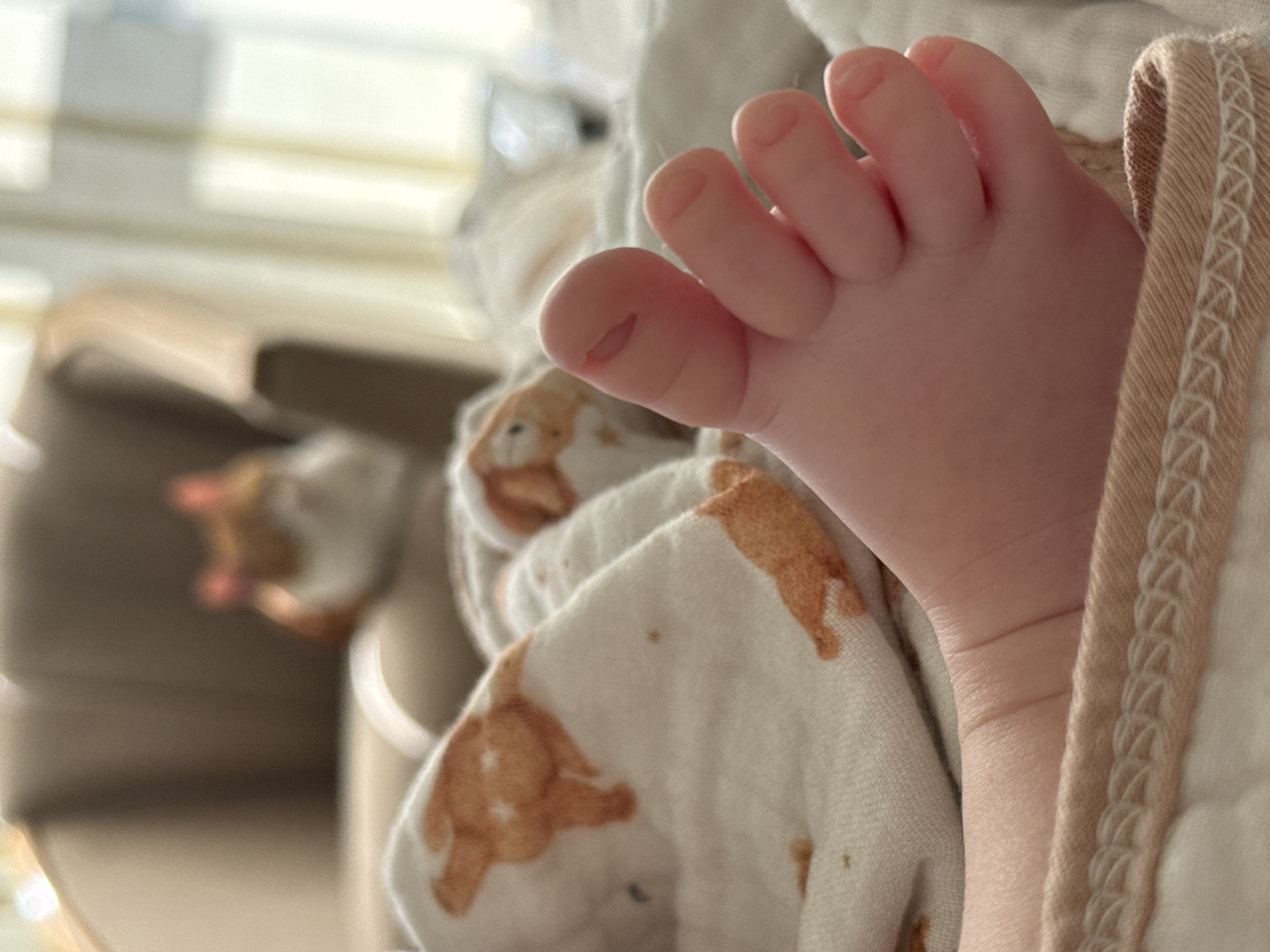 A close-up shot shows a baby's foot with pink toes resting on a white blanket patterned with brown animal figures. The edge of a textured, tan-colored fabric is visible on the right side of the frame. The background appears blurred, showing a tan object that may be part of a chair or other furniture, and a window is visible in the far background. The location cannot be determined from the provided image.