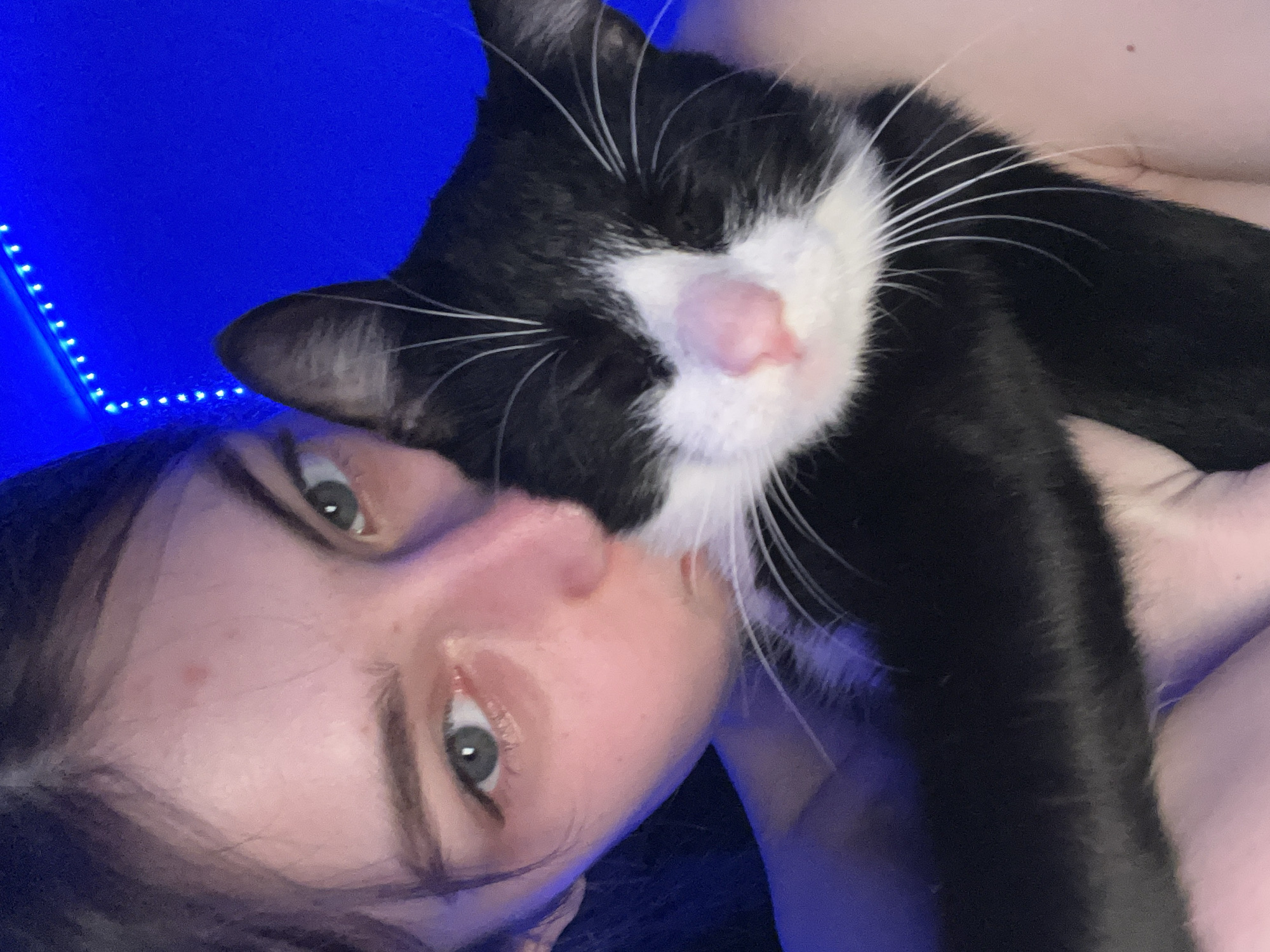 A person with dark hair and green eyes is embracing a black and white tuxedo cat. The individual's face is turned towards the cat, with their cheek close to its head, suggesting an affectionate gesture such as a nuzzle or kiss. Visible features include a small red blemish on the forehead and a slight redness in the lower eyelid of the right eye (viewer's left). The cat, predominantly black with a white muzzle, chin, and chest, has a pink nose and prominent white whiskers. Its eyes appear closed or mostly closed, indicating relaxation. The background is uniformly electric blue, illuminated by a string of small, bright blue LED lights running horizontally along the upper portion of the frame. The scene is dimly lit, with the blue light casting a cool tone over the subjects. No specific geographic location is discernible from the image.