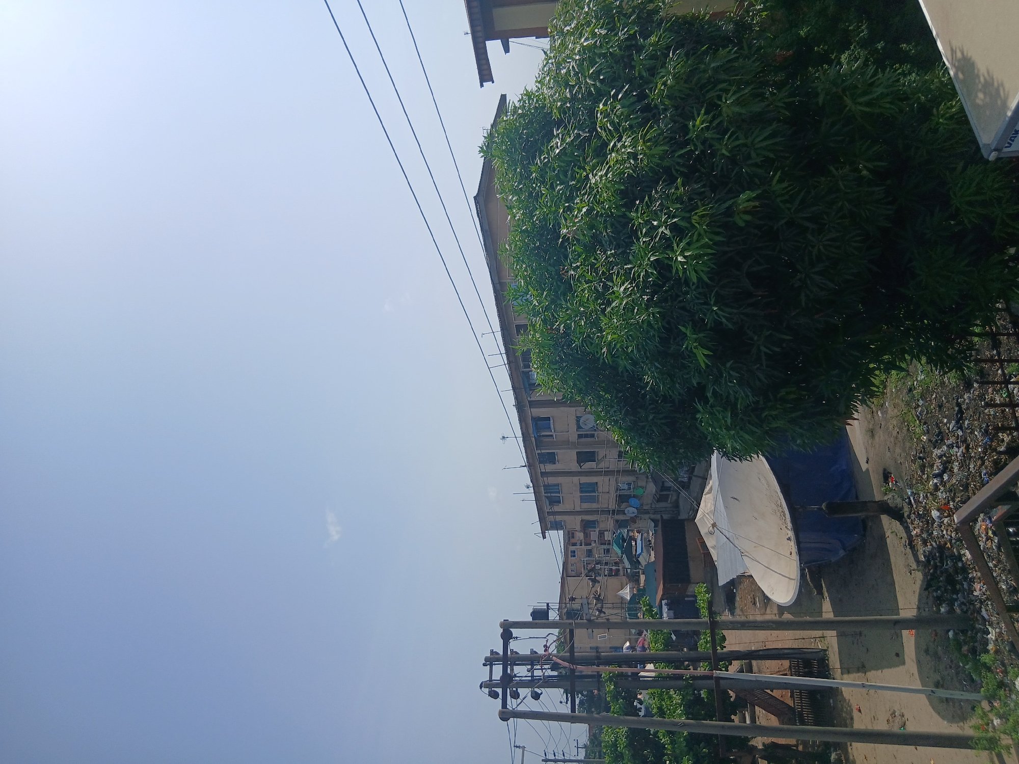 A street-level view in Lagos, Nigeria presents a scene encompassing natural and urban elements. In the foreground, utility poles with wires intersect the sky. Adjacent to these, a tree with dense green foliage partially obscures the view of a white satellite dish. The background contains buildings of various heights, some with multiple stories. Discarded objects and debris are scattered on the ground surface. The sky is clear and bright, suggesting daytime.