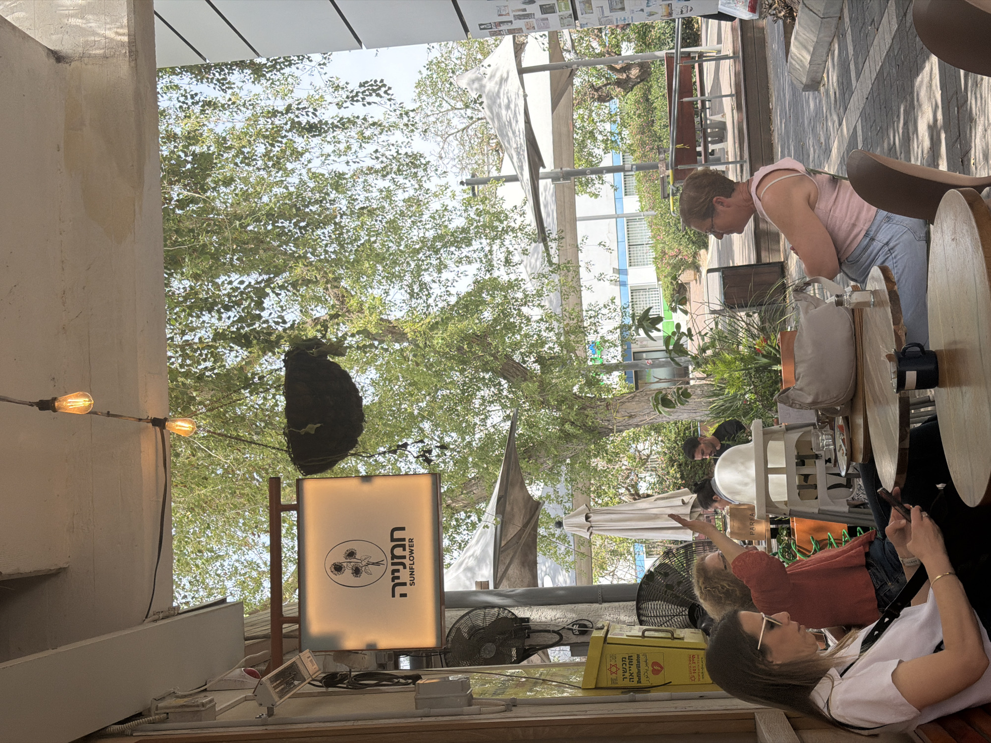 The image depicts an outdoor cafe scene in Tel Aviv, Israel. Three women are visible: one is sitting at a table using her phone, another is seated near her with her hand raised, and the third is standing behind a table. The cafe is shaded by umbrellas and trees. Cafe equipment like lights, fans, and a sign with the word "Sunflower" in Hebrew and English are visible.