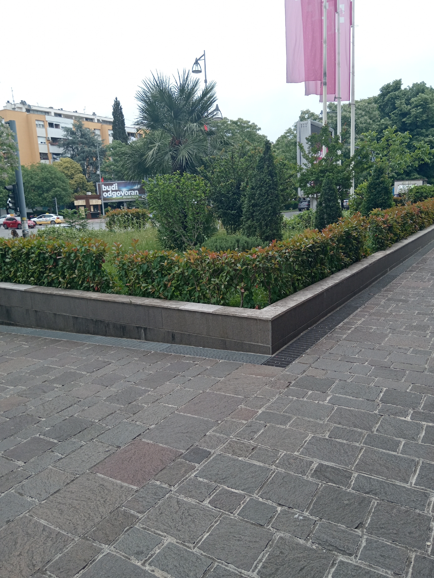 The image shows a section of paved pedestrian area in Podgorica, Montenegro. The foreground is dominated by the gray stone pavement, laid in a brick-like pattern. A raised rectangular planter filled with various plants and shrubs, bordered by a low gray wall, runs along the edge of the paved area. Behind the planter, there's a street with some cars and a billboard that says "budi odgovoran" visible. In the background, there are buildings, trees, and some flags in a pale red color. The sky appears overcast. No people are clearly visible in the image.