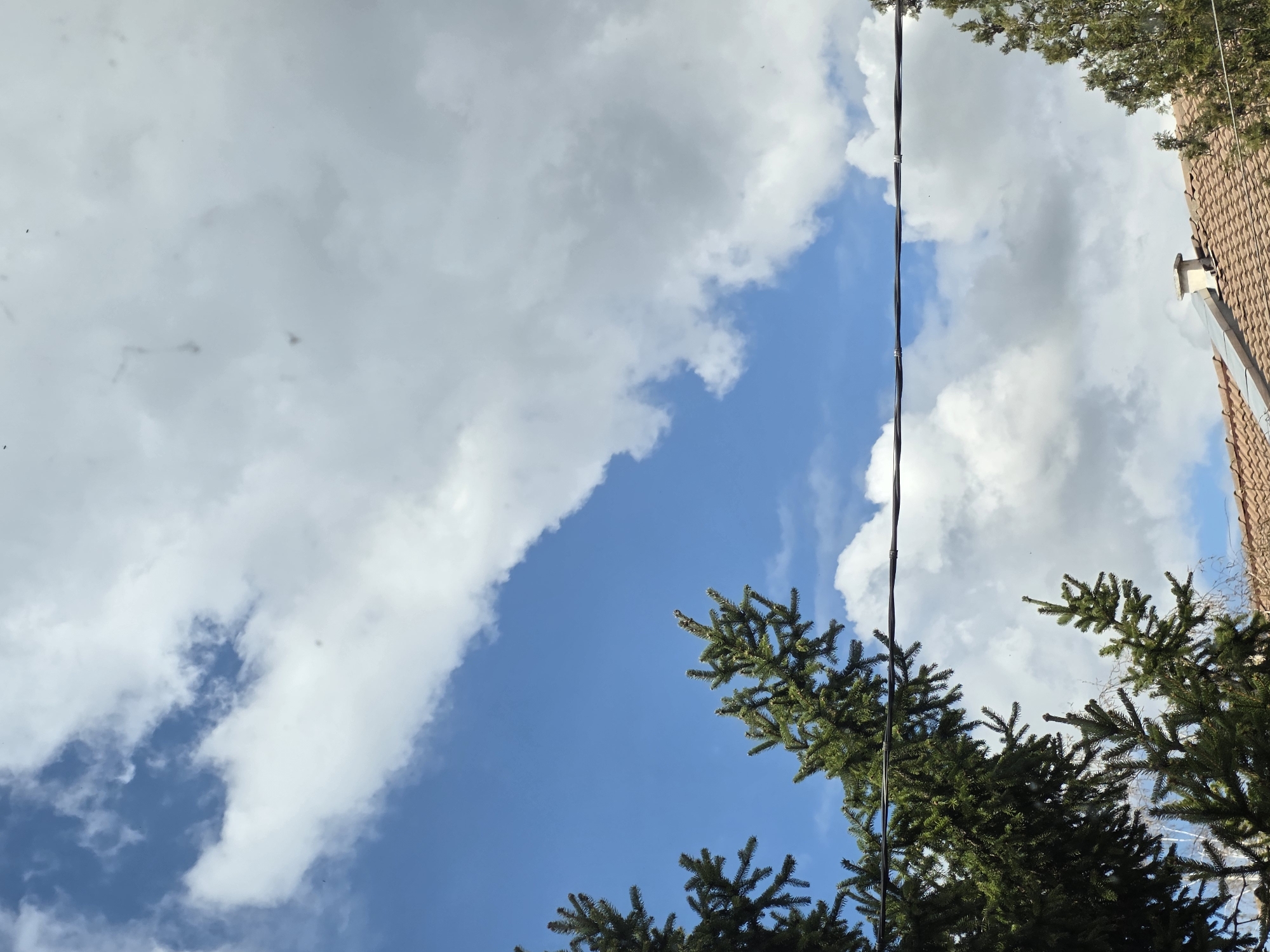 The image captures an upward view towards a partly cloudy sky. The sky is blue, with scattered white clouds. In the foreground, the green foliage of pine trees is visible. An electrical wire runs vertically through the scene. A section of a building with a red-tiled roof is also in the frame. The location is presumably Yagodovo, Bulgaria, though no specific landmarks are evident in the scene.