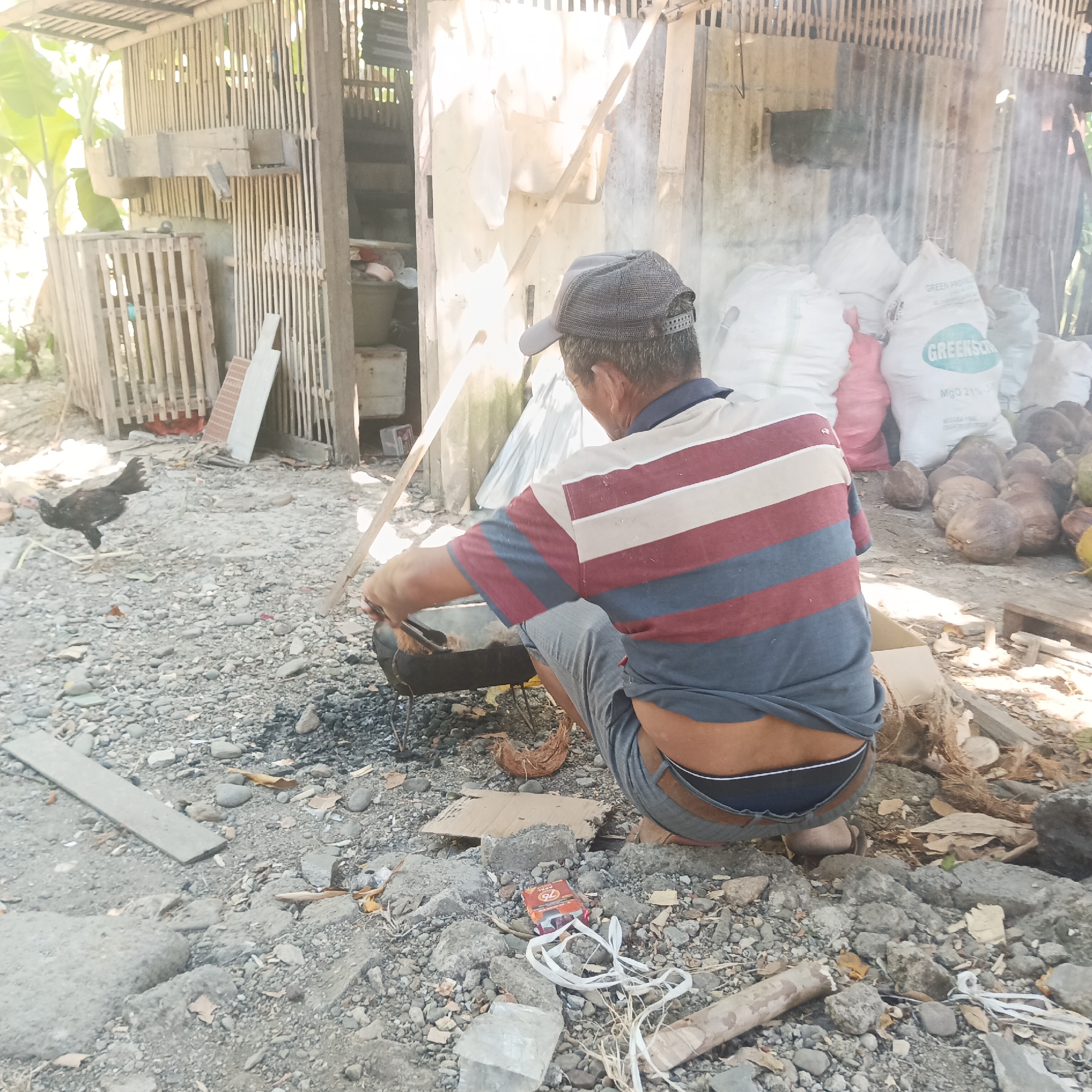 In Tumampua, Indonesia, a man is shown crouching over a dark, metal cooking pot situated on a gravel and dirt ground. He wears a striped shirt, grey shorts, and a grey baseball cap. The man is using tongs to stir something within the pot, from which smoke is rising. The surrounding environment is rustic, with a wooden structure in the background, possibly a shed or shelter, constructed from bamboo and corrugated metal. Bags of what appear to be fertilizer or feed are stacked near the structure, alongside a pile of coconuts. A black chicken is visible in the foreground to the left. The ground is littered with stones, debris, and some dry vegetation. The overall scene suggests an outdoor cooking or processing activity in a semi-rural or undeveloped area.
