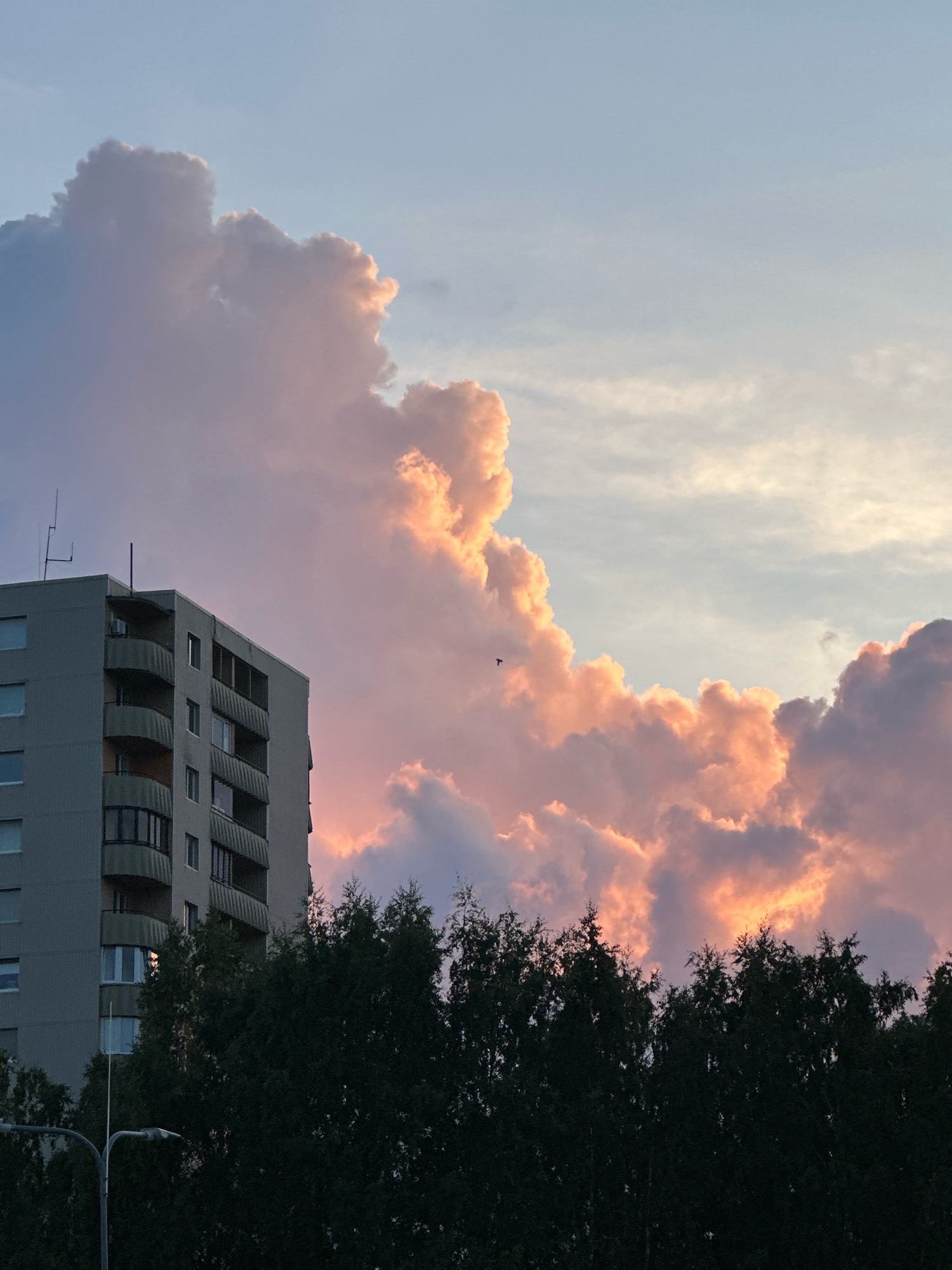 The photograph captures a building and a sky filled with clouds in Tallinn, Estonia. The building, a multi-story residential block, is gray and features balconies on its facade. A line of dark green trees runs across the foreground, obscuring the lower portion of the building and the ground. Above the trees and building, the sky is dominated by large, fluffy clouds. The clouds are illuminated by the setting sun, casting shades of pink, orange, and purple across their surfaces. The sky itself transitions from a pale blue at the top to a softer hue near the horizon. A single bird is visible in flight against the cloudy sky. The lighting suggests it is either dawn or dusk.