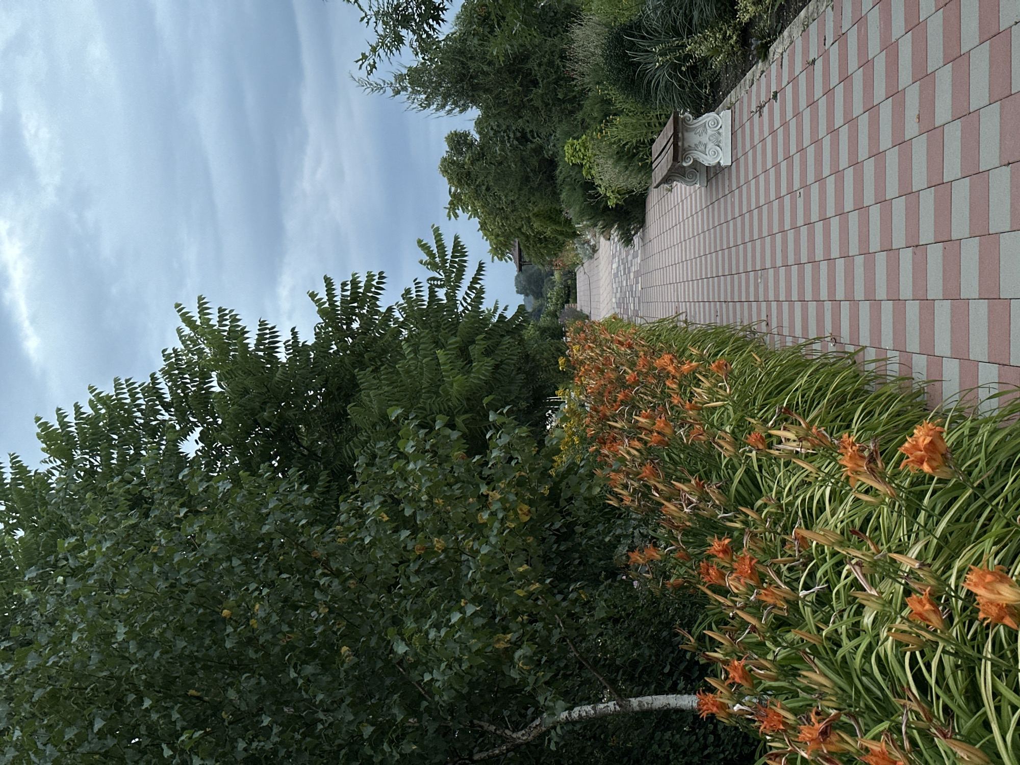 The image depicts a paved pathway in Yaroslavskaya, Russia, flanked by lush greenery and blooming orange flowers. The pathway, laid with rectangular red and grey pavers, curves gently into the distance, leading towards a small gazebo partially visible amongst the trees. To the left of the path, a dense row of vibrant orange daylilies stands tall against a backdrop of green foliage, including a striking birch tree with its white, textured bark. On the right side of the path, an ornate white stone bench with a weathered wooden seat offers a place for repose. The environment appears serene and well-maintained, suggesting a park or garden setting. The sky above is overcast with muted gray clouds, indicating a cloudy day. No people are present in the scene.