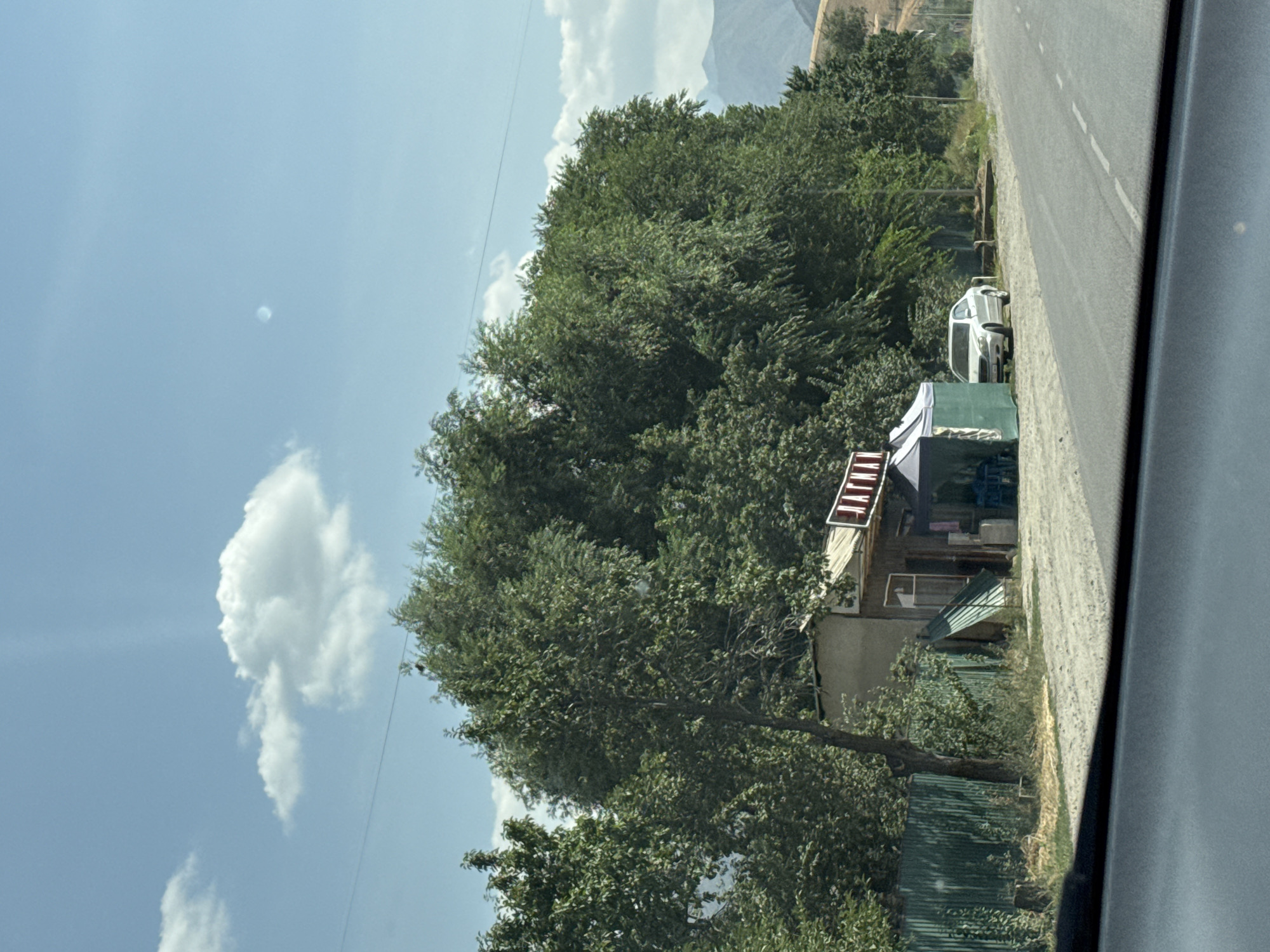 A roadside establishment with a sign that reads "ШАТМАН" is situated in a rural area, possibly near Koi-Tash, Kyrgyzstan. The establishment features a small building with a window and a shaded outdoor area covered by a green tent. A white sedan is parked to the right of the tent. A green metal fence borders the property on the left, and a gravel path leads up to the establishment. Lush green trees surround the scene, with a paved road running alongside it. The sky is a bright blue with scattered white clouds. The overall setting suggests a place of business in a natural, open environment.