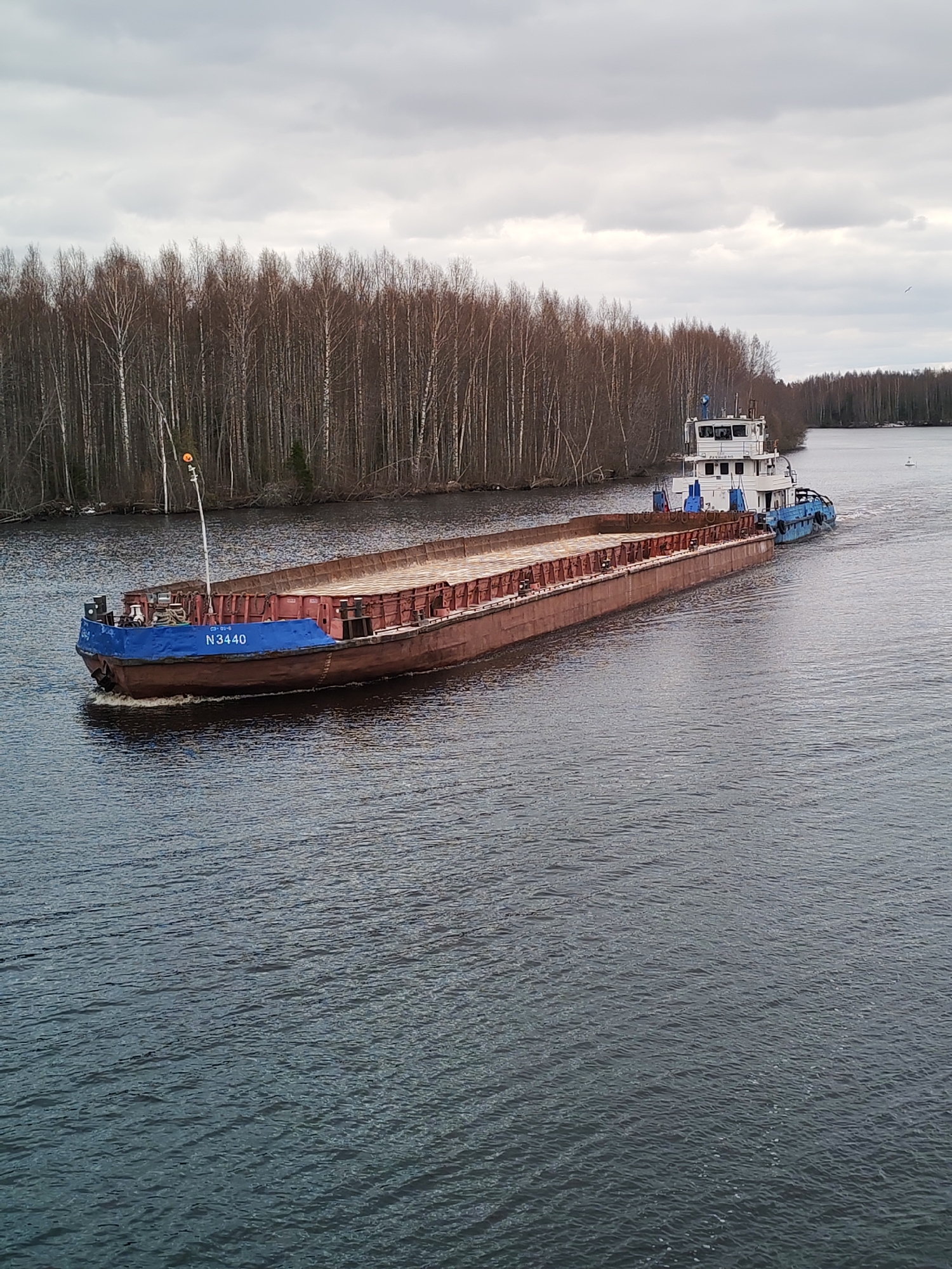 A tugboat is seen pushing a long, flat-bottomed barge along a calm river under an overcast, cloudy sky. The scene is set in Uzhla, Russia, with dense, bare deciduous forests, likely birch trees, lining the riverbanks, suggesting a late autumn, winter, or early spring season.
The barge, which appears to be empty and unladen, is predominantly a rusty brown color with a distinct bright blue forward section. On this blue section, the alphanumeric identifier "N3440" is clearly visible in white text, with smaller text "C3-01-6" also present. A tall, slender pole topped with an orange spherical marker extends upwards from the front of the barge. The water around the vessels shows ripples and a wake generated by the moving tugboat.
The tugboat, positioned at the stern of the barge and pushing it forward, features a multi-deck white cabin with numerous windows and blue accents on its hull. Russian text, "РХ 089 90", can be faintly discerned on its side. One person is visible standing on the top deck of the tugboat's cabin. Further down the river, a small white navigational buoy can be seen. The overall image depicts a functional waterway transportation scene on a subdued, cloudy day.