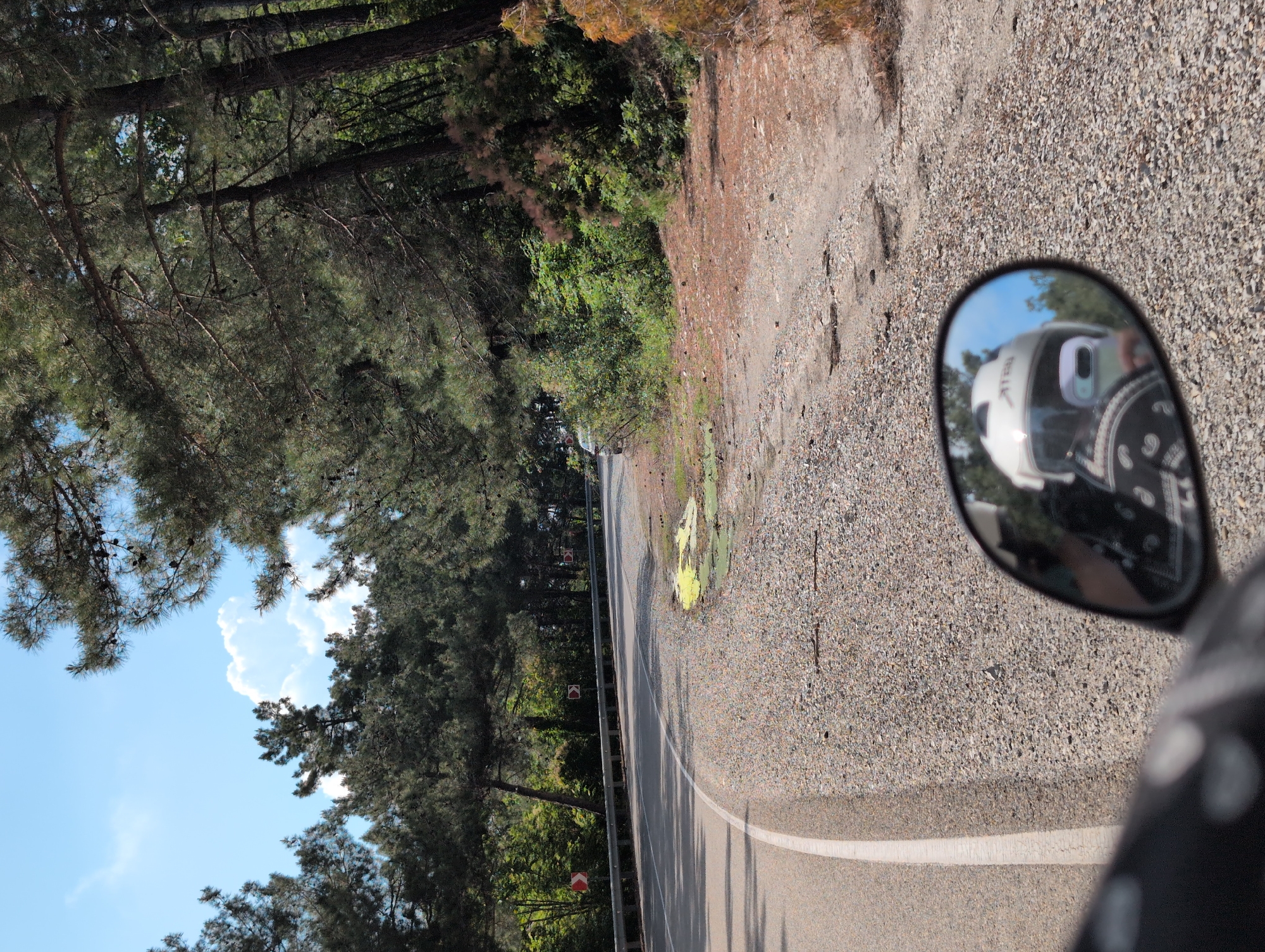 The image depicts a curved asphalt road bordered by a gravel shoulder and surrounded by a dense pine forest. The road has a white line marking the edge. In the distance, a silver vehicle is partially visible on the road. The sky is blue with scattered white clouds. A motorcycle's side mirror is in the foreground, reflecting the rider wearing a white helmet and holding a smartphone. The location is specified as being in the city of Divnomorskoye, Russia.