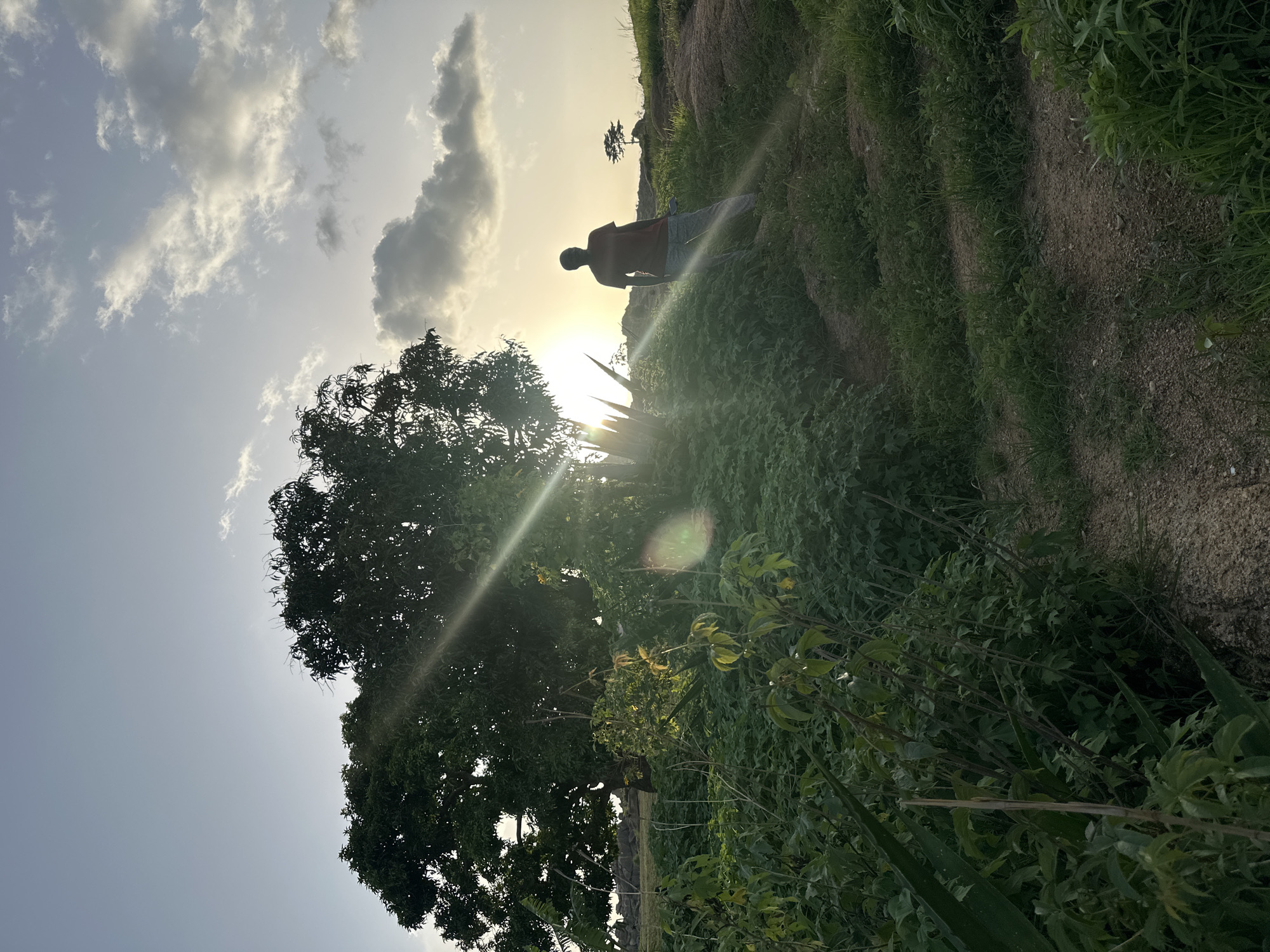 The image depicts a person standing in a grassy, somewhat hilly landscape. The person is silhouetted against a bright sun, indicating it is either sunrise or sunset. They are wearing a red shirt and light-colored shorts. The surrounding environment is lush with green vegetation, including trees and various plants. The ground appears to be a mix of soil and gravel. There are clouds in the sky, suggesting a partly cloudy day. The sunlight is strong and creates lens flares in the image. The scene has a natural, outdoor feel, possibly a rural or semi-rural area. The orientation of the image is portrait.