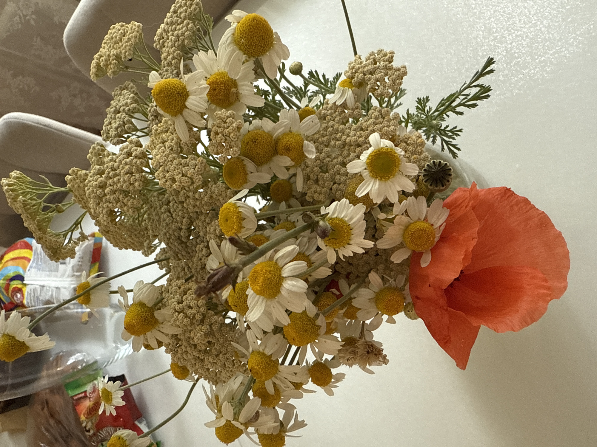 A close-up, overhead shot features a bouquet of dried wildflowers, predominantly white daisies with yellow centers, mixed with clusters of tiny beige flowers and a single, vibrant orange poppy. The flowers are arranged in a light-colored vase, which is partially visible. In the background, soft, textured surfaces appear to be light-colored upholstery or fabric. To the left of the bouquet, a blurred background reveals a clear plastic container with colorful items inside, suggesting a shelf or display. The overall impression is one of a still life arrangement, possibly indoors, with a bright and natural color palette. No people are visible, and the lighting suggests it could be daytime. The location context of Kavkazkaya, Russia, does not provide specific visual cues in this image.