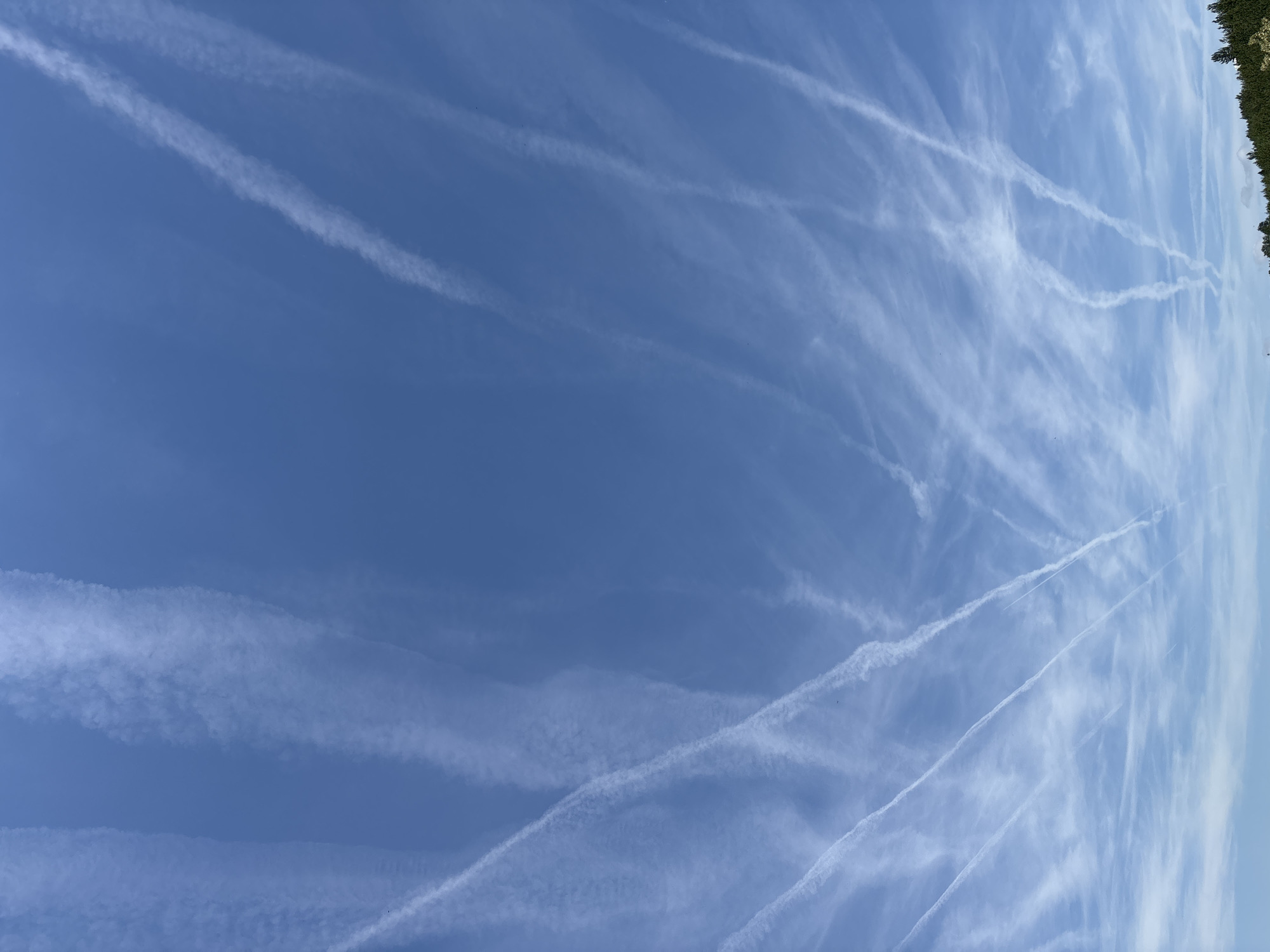 This image presents a vibrant, bright blue sky filled with numerous white contrails from aircraft. The sky is largely clear of natural clouds, indicating fair weather conditions. The contrails are prominent, crisscrossing the expansive blue canvas in various directions. Some appear as thin, distinct lines, while others have begun to dissipate and spread, forming wider, more diffuse, and wispy cloud-like formations.
Along the far right edge of the frame, a narrow strip of green foliage is visible, suggesting the tops of trees or other vegetation, providing a subtle ground reference to the otherwise sky-dominated scene. The scene is captured in broad daylight, with the sun illuminating the sky and contrails evenly. No specific architectural details or other distinct geographical markers for Ognyanovo, Bulgaria, are visible beyond the implied landscape, although the location is specified. There are no people, specific man-made objects other than the contrails, or any visible text in the image.