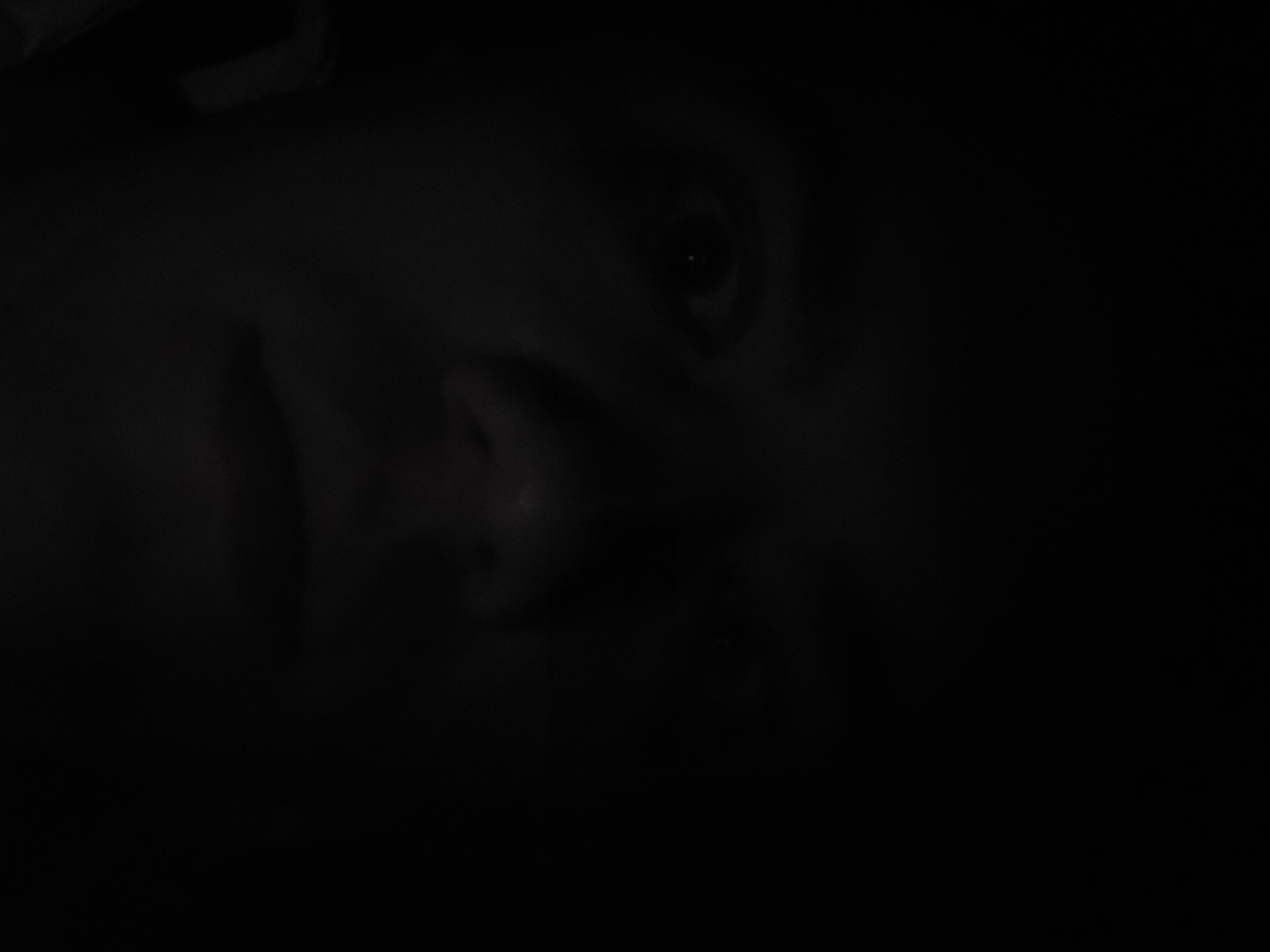 A close-up, low-key, monochrome image of a person's face. The face is partially illuminated, revealing the eye, nose, and side of the mouth. The rest of the image is obscured by darkness. The location is not discernible from the given information and visual details.