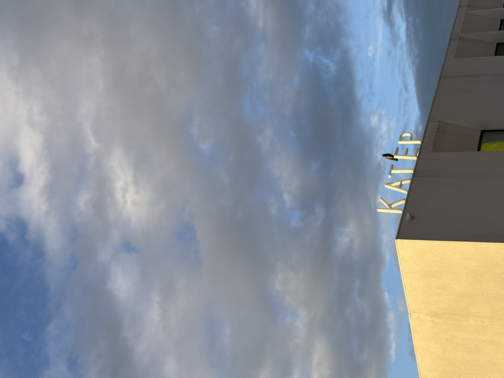 The image shows the building facade of a structure in Nizhny Novgorod, Russia, with the illuminated letters "KATEP" mounted on its roof. A bird, possibly a crow or raven, is perched on top of the letter "E". The sky above is filled with a mix of blue sky and dark, dramatic clouds, suggesting either early morning or late afternoon light. The building itself is a light beige color, with some windows visible. The lighting and cloud cover create a moody atmosphere.