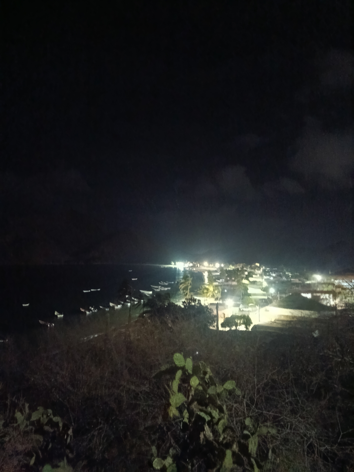 The image depicts a night scene in Juan Griego, Venezuela, overlooking the coastline and a small town. In the distance, lights from buildings and streetlights illuminate the town. In the water, several small boats are visible near the shore. In the foreground, there's a view of vegetation, including cacti and dry bushes. The sky above is dark, possibly with cloud cover. The scene is quiet and still.