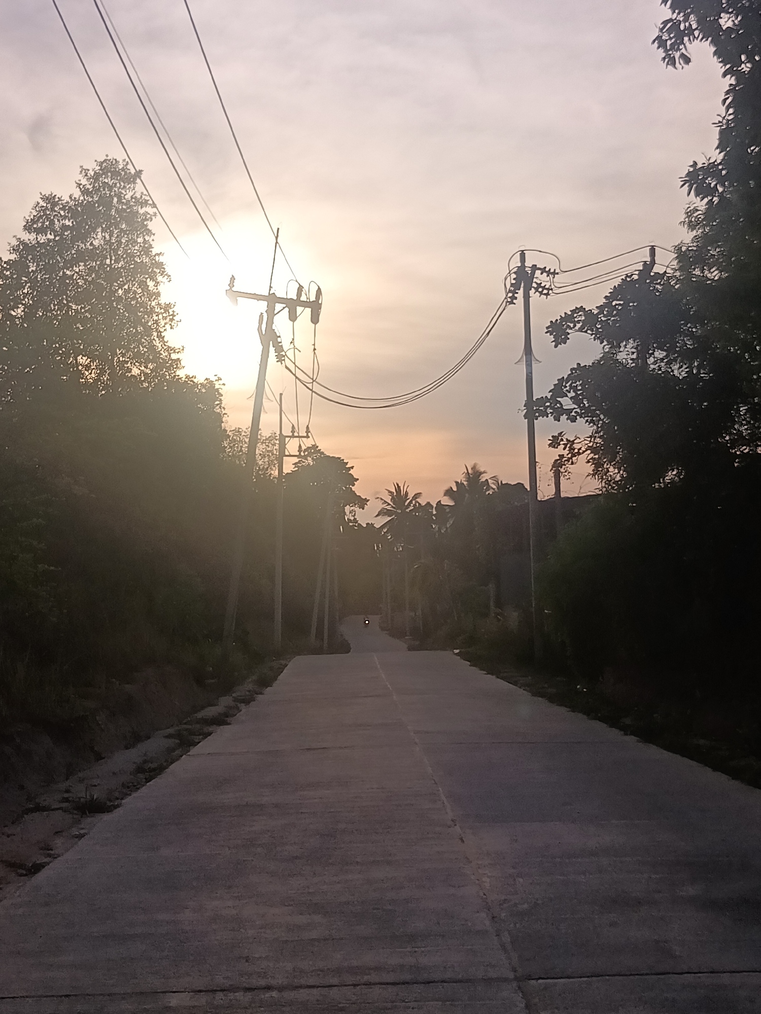 A sun-drenched road extends through Moo 4, Thailand, bordered by lush trees and utility poles strung with power lines. The road surface is concrete, marked with longitudinal expansion joints. A single vehicle, possibly a motorcycle, is visible in the distance, approaching along the roadway. The time of day appears to be early morning or late afternoon, given the position of the sun and the warm color cast in the sky.