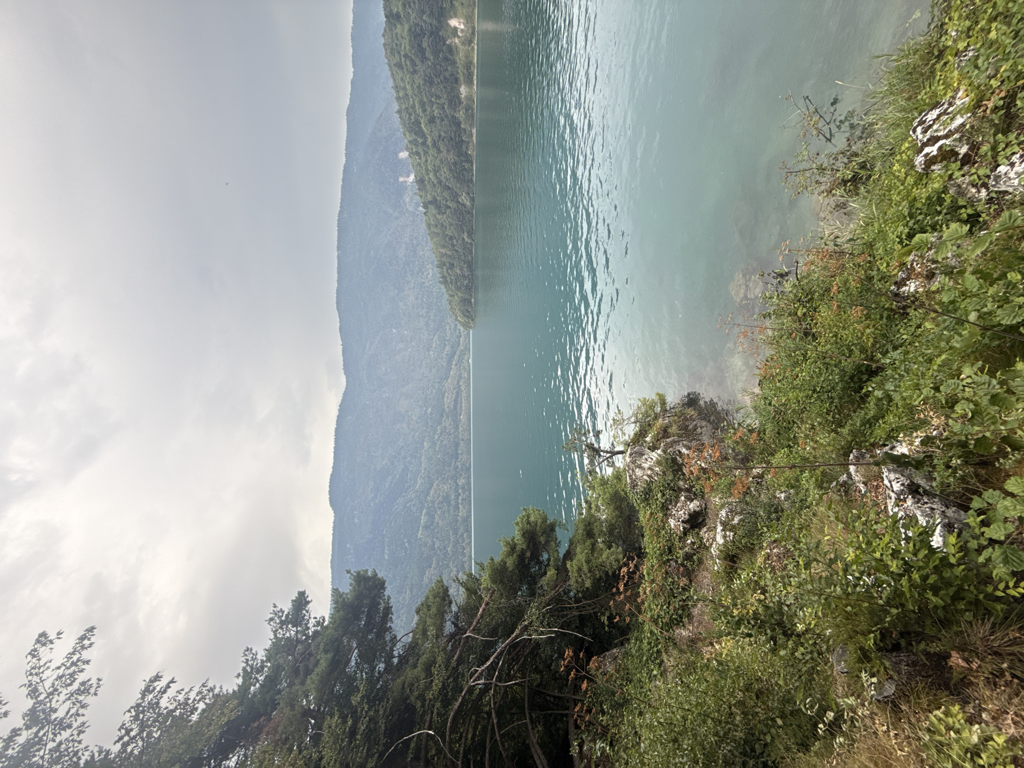 A scenic view of a serene lake surrounded by lush green hills and mountains under a cloudy sky. In the foreground, the rocky shore is covered with dense vegetation and trees, with branches extending towards the water. The lake itself is a vibrant turquoise, with gentle ripples on its surface. In the distance, rolling hills and mountains covered in forests rise up, their peaks partially obscured by the overcast sky. There are no people or animals visible in the image. The location appears to be a natural landscape, possibly in the Italian Alps.