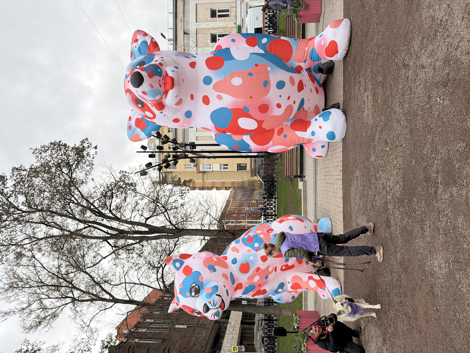 The image, originally oriented vertically, captures an outdoor scene featuring two large, colorful inflatable cats. Both inflatables are predominantly white with an abstract pattern of red, blue, and white spots, depicting stylized feline faces with ears, eyes, and noses. The upper inflatable is seen partly against the sky and buildings, while the lower one is closer to the foreground.
In the mid-ground, a person wearing a green jacket and a purple top stands near the lower inflatable cat, seemingly observing or interacting with it. In the immediate foreground, another person is kneeling, holding a camera. This individual is dressed in a dark jacket with a red element, possibly a scarf or strap, around their neck. Adjacent to the kneeling person is a light-colored dog, wearing a purple bandana or collar, on a leash.
The setting is a paved outdoor area, possibly a pedestrian walkway or park. In the background, deciduous trees with bare branches are visible against an overcast, cloudy sky, suggesting a cool season like late autumn, winter, or early spring. Several urban buildings, some with brick facades and others with lighter walls and windows, line the background. Streetlights or event lighting fixtures are also noticeable. A white van is partially visible further back, displaying some Cyrillic text including "А05 6" and a fragment of a word ending in "ник". The scene appears to be a public event or art installation.